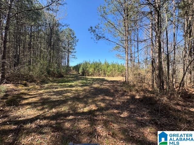 Homes for sale in Wadley, AL | 26315 Hwy 77, Wadley, AL 36276 | MLS# 21446935