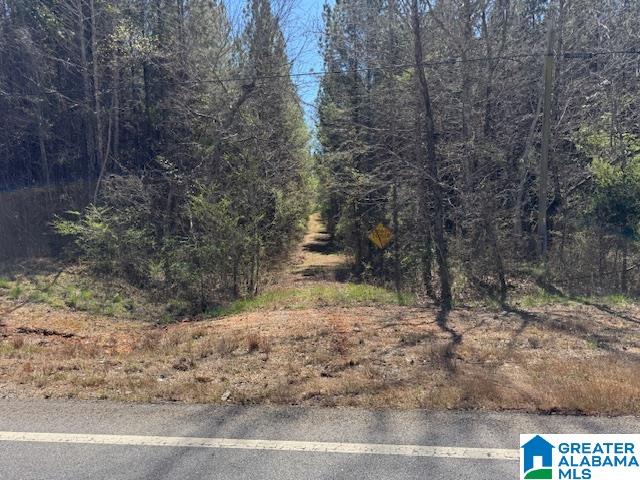 Homes for sale in Wadley, AL | 26315 Hwy 77, Wadley, AL 36276 | MLS# 21446935