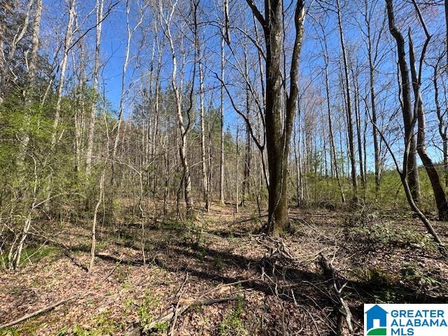 Homes for sale in Wadley, AL | 26205 Hwy 77, Wadley, AL 36276 | MLS# 21446945