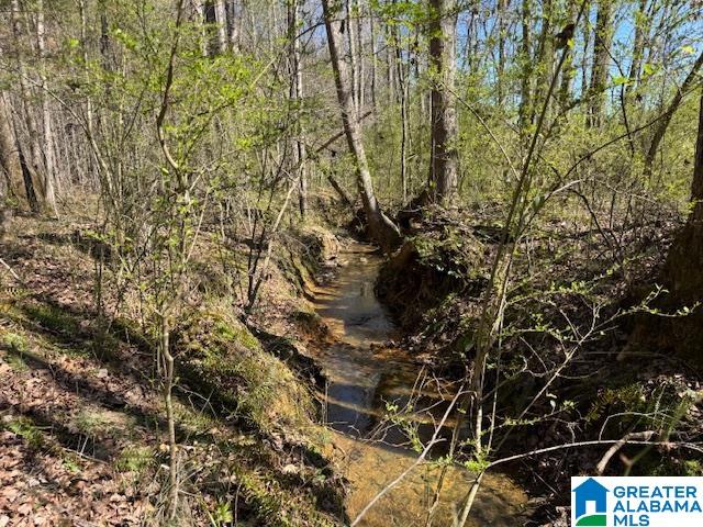 Homes for sale in Wadley, AL | 26205 Hwy 77, Wadley, AL 36276 | MLS# 21446945