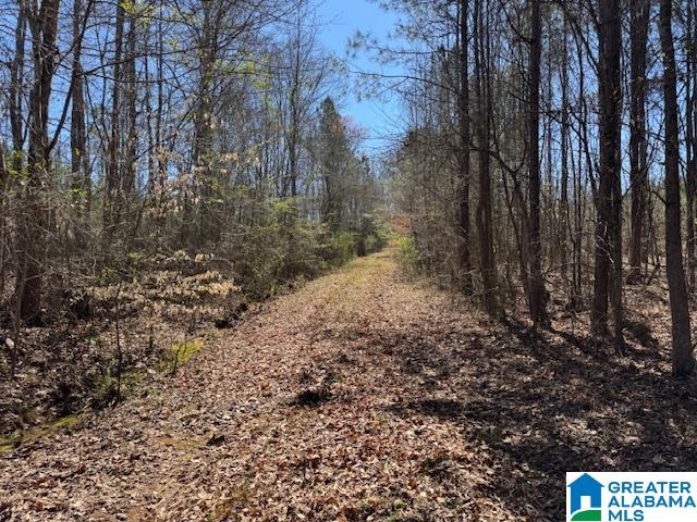 Homes for sale in Wadley, AL | 26205 Hwy 77, Wadley, AL 36276 | MLS# 21446945