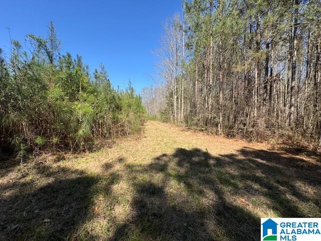 Homes for sale in Wadley, AL | 26205 Hwy 77, Wadley, AL 36276 | MLS# 21446945