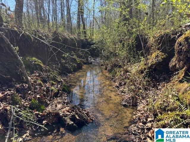 Homes for sale in Wadley, AL | 825 County Road 79, Wadley, AL 36276 | MLS# 21446948