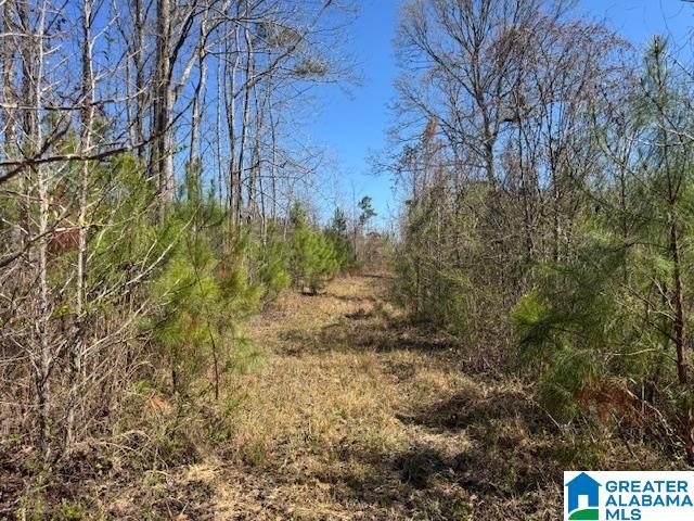 Homes for sale in Wadley, AL | 825 County Road 79, Wadley, AL 36276 | MLS# 21446948