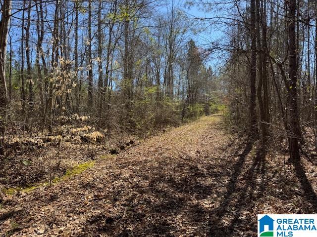 Homes for sale in Wadley, AL | 825 County Road 79, Wadley, AL 36276 | MLS# 21446948