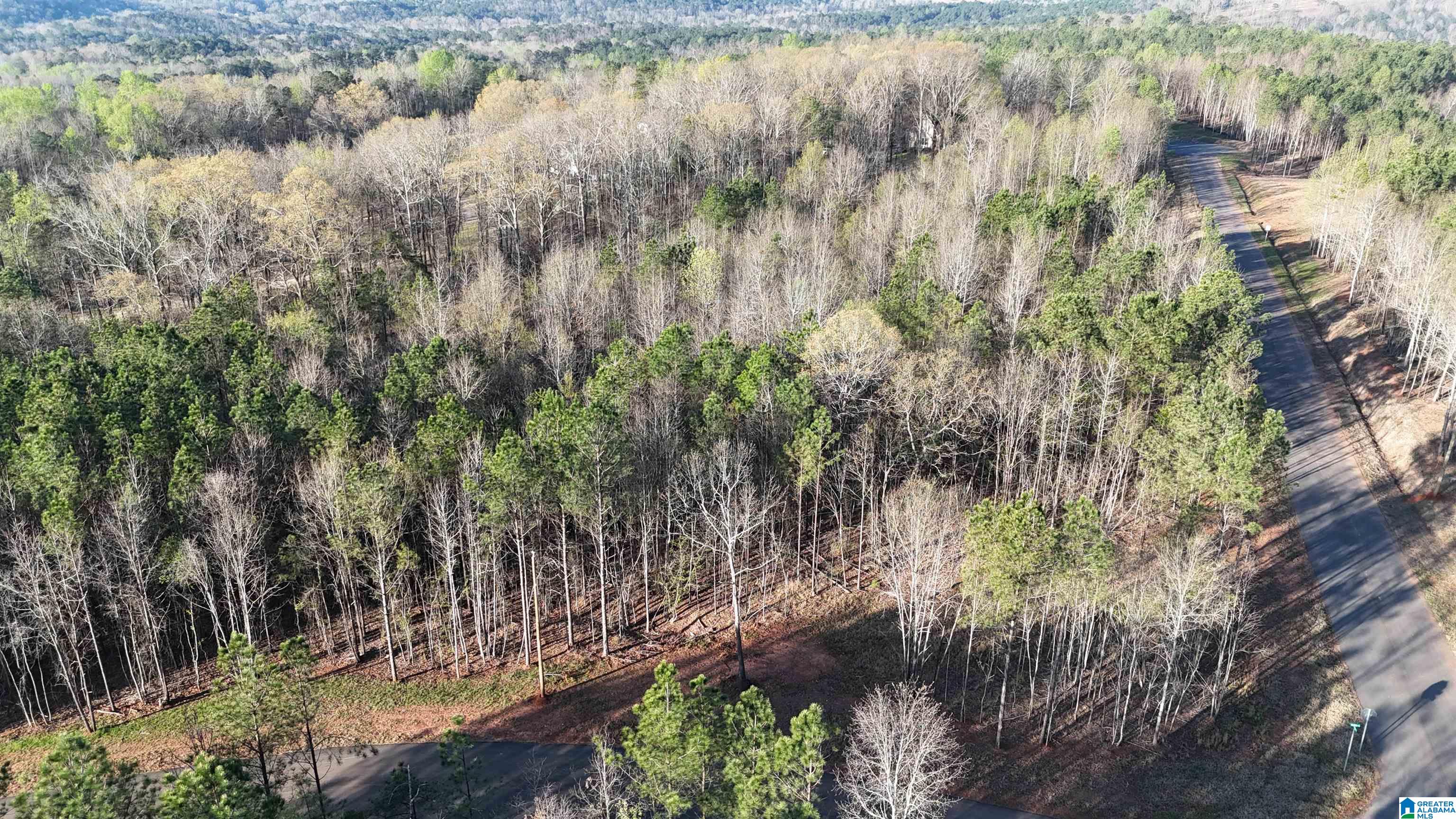 Homes for sale in Helena, AL | 620 Horseshoe Trail, Helena, AL 35022 | MLS# 21446971