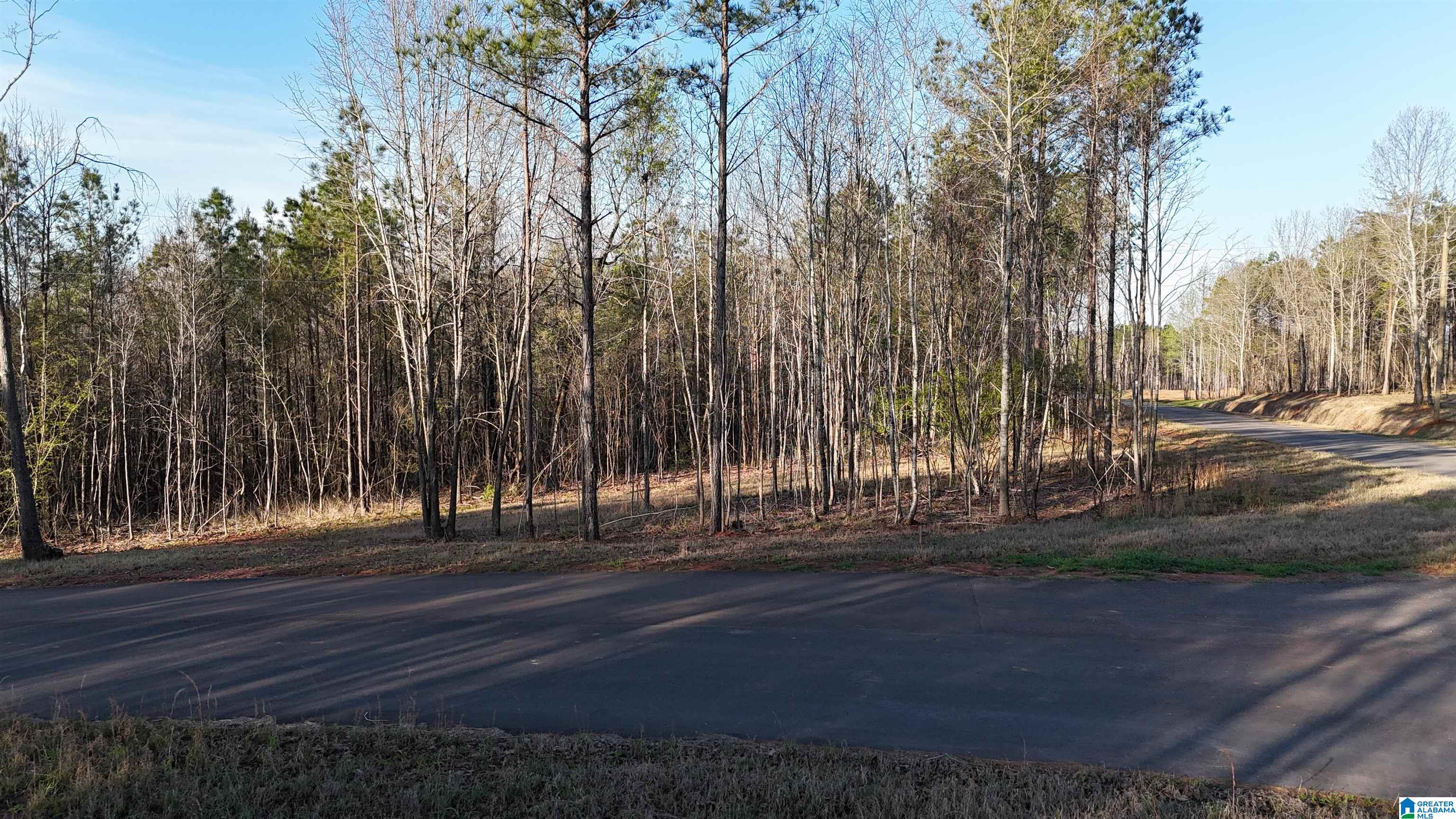 Homes for sale in Helena, AL | 620 Horseshoe Trail, Helena, AL 35022 | MLS# 21446971