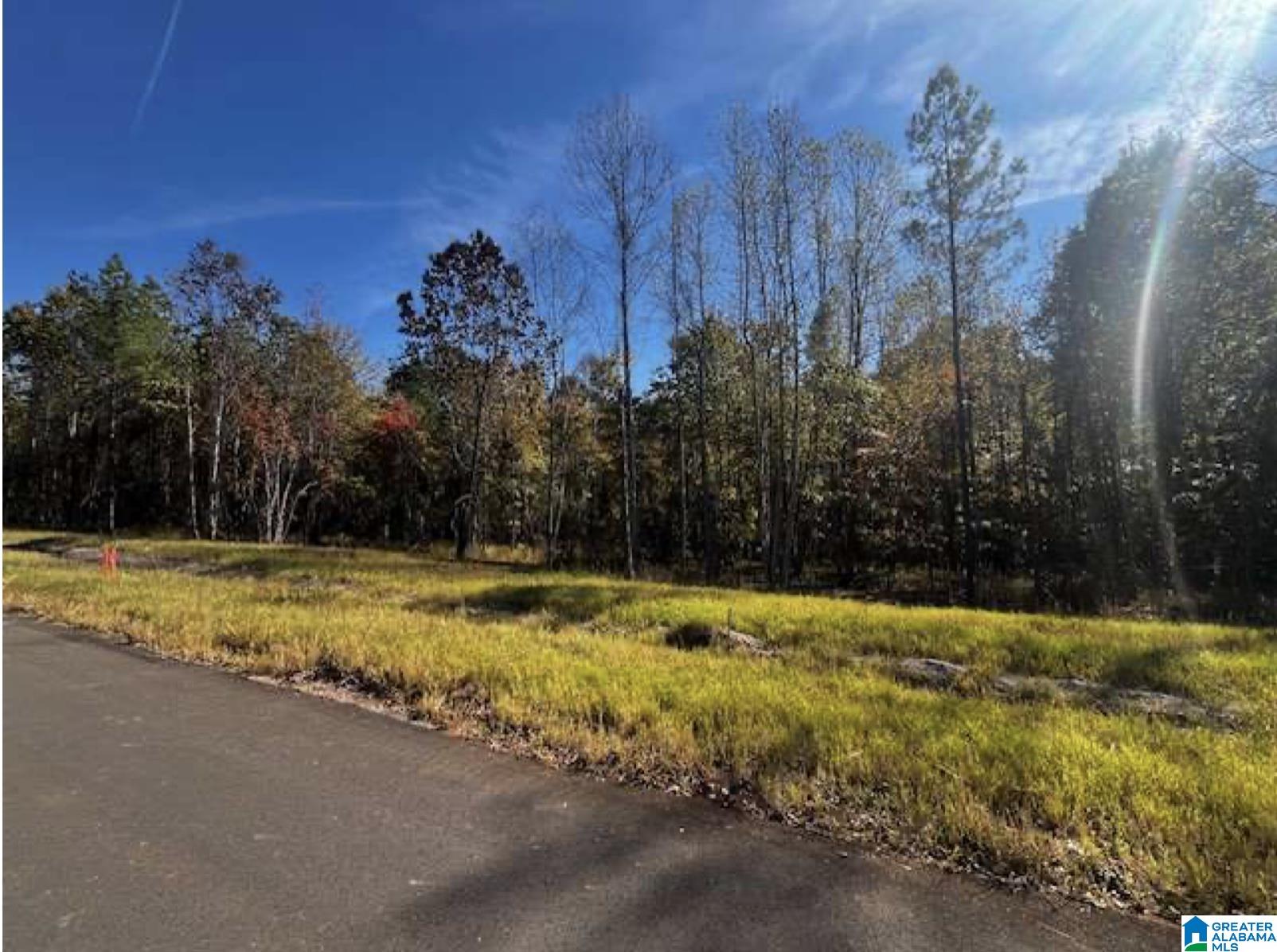 Homes for sale in Helena, AL | 620 Horseshoe Trail, Helena, AL 35022 | MLS# 21446971