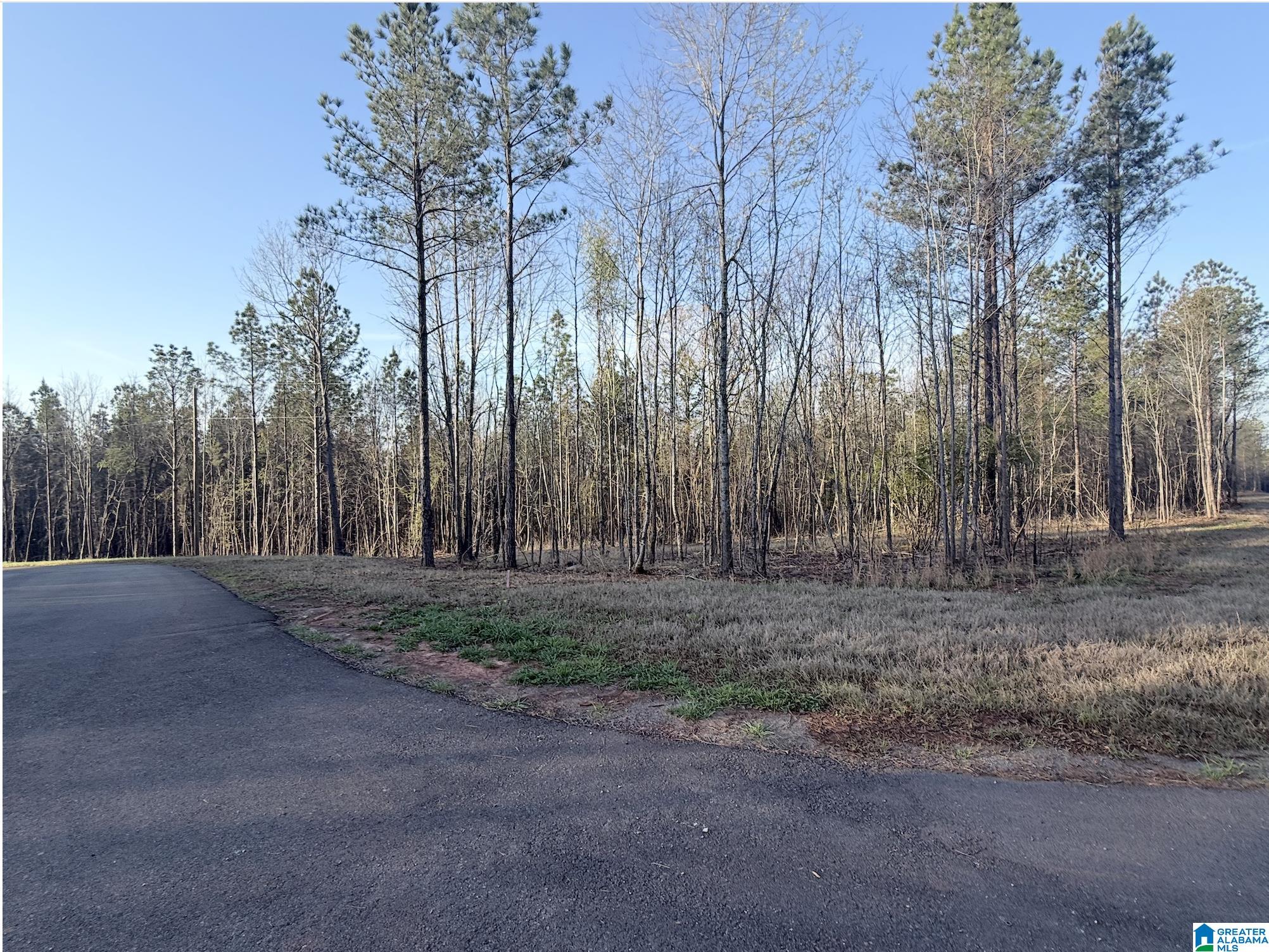 Homes for sale in Helena, AL | 620 Horseshoe Trail, Helena, AL 35022 | MLS# 21446971