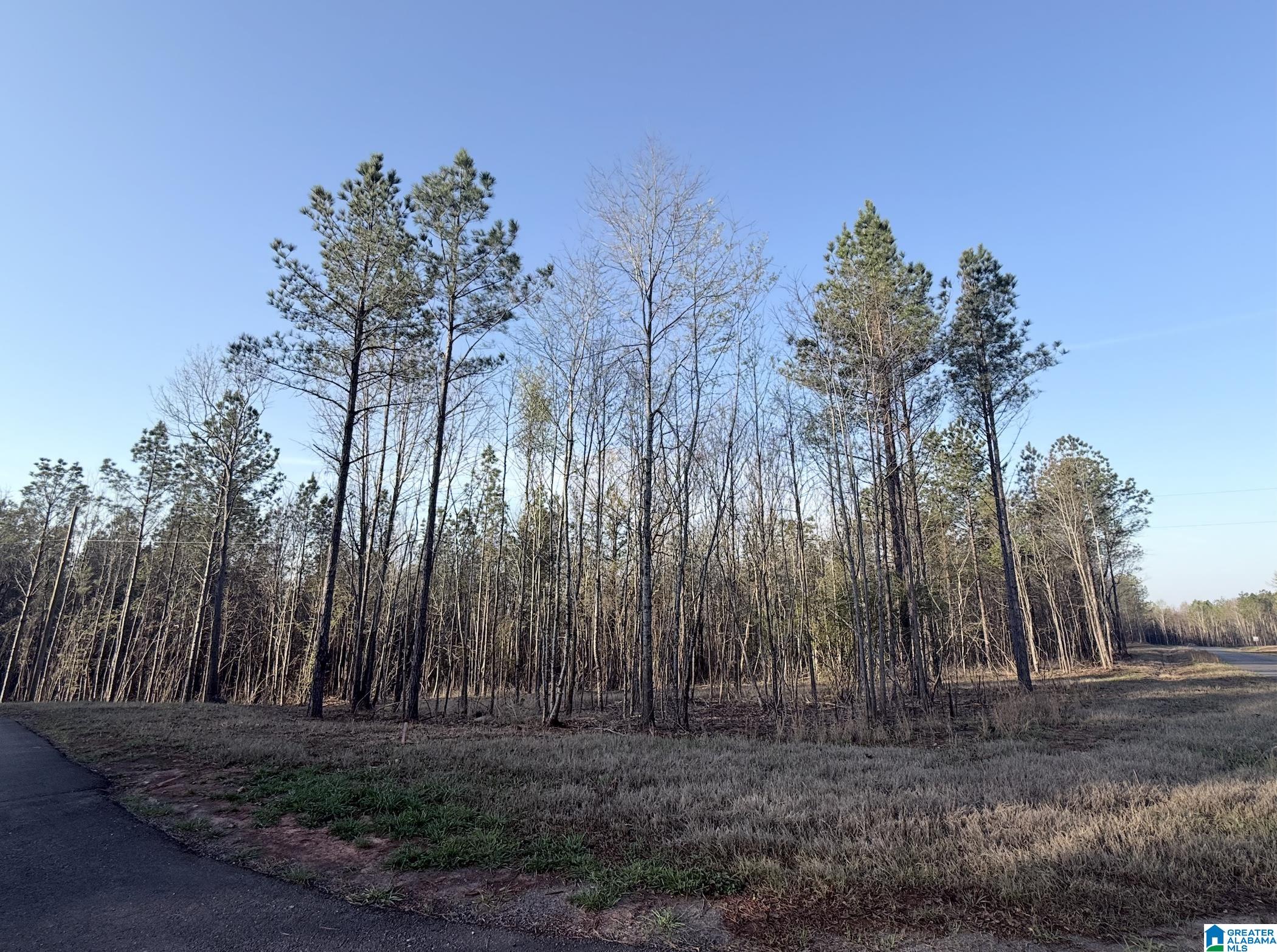 Homes for sale in Helena, AL | 620 Horseshoe Trail, Helena, AL 35022 | MLS# 21446971