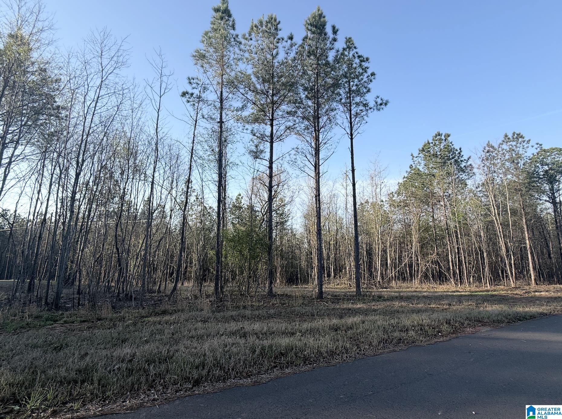 Homes for sale in Helena, AL | 620 Horseshoe Trail, Helena, AL 35022 | MLS# 21446971