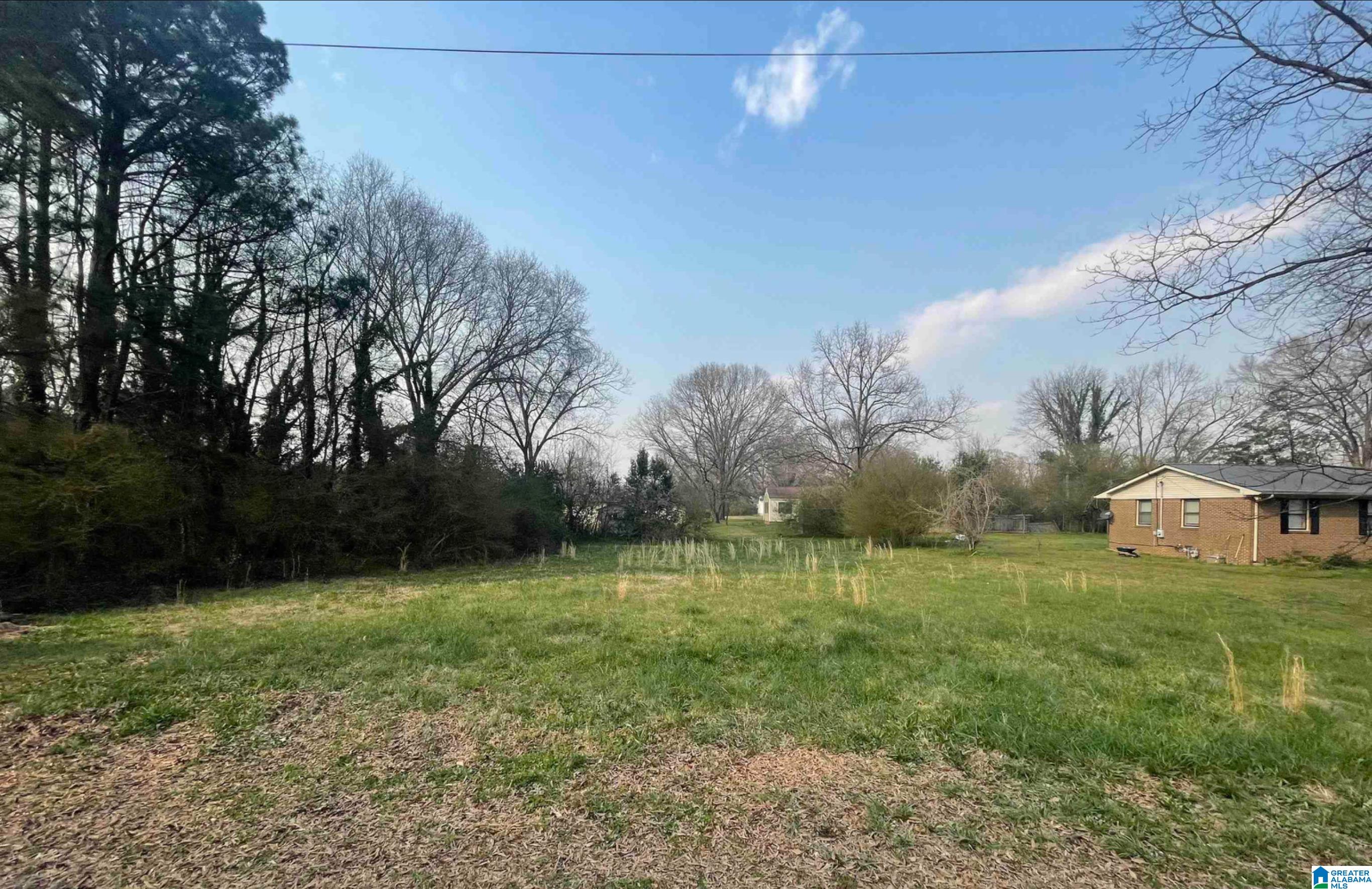 Homes for sale in Lincoln, AL | 61 Gauldin Avenue, Lincoln, AL 35096 | MLS# 21446980