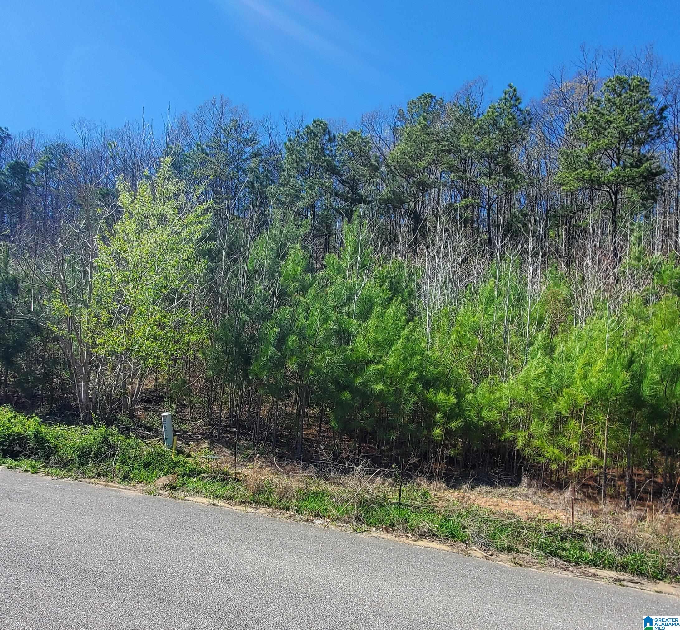 Homes for sale in Mc Calla, AL | 5920 High Forest Dr, Mc Calla, AL 35111 | MLS# 21446989