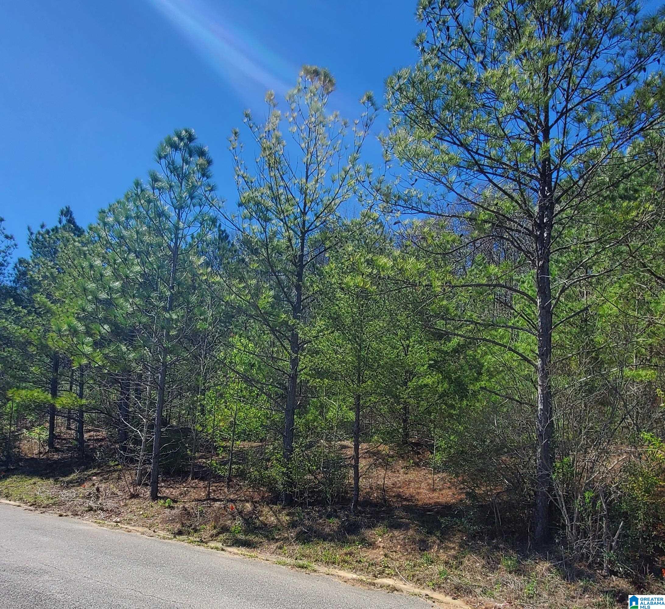 Homes for sale in Mc Calla, AL | 5916 High Forest Dr, Mc Calla, AL 35111 | MLS# 21446990