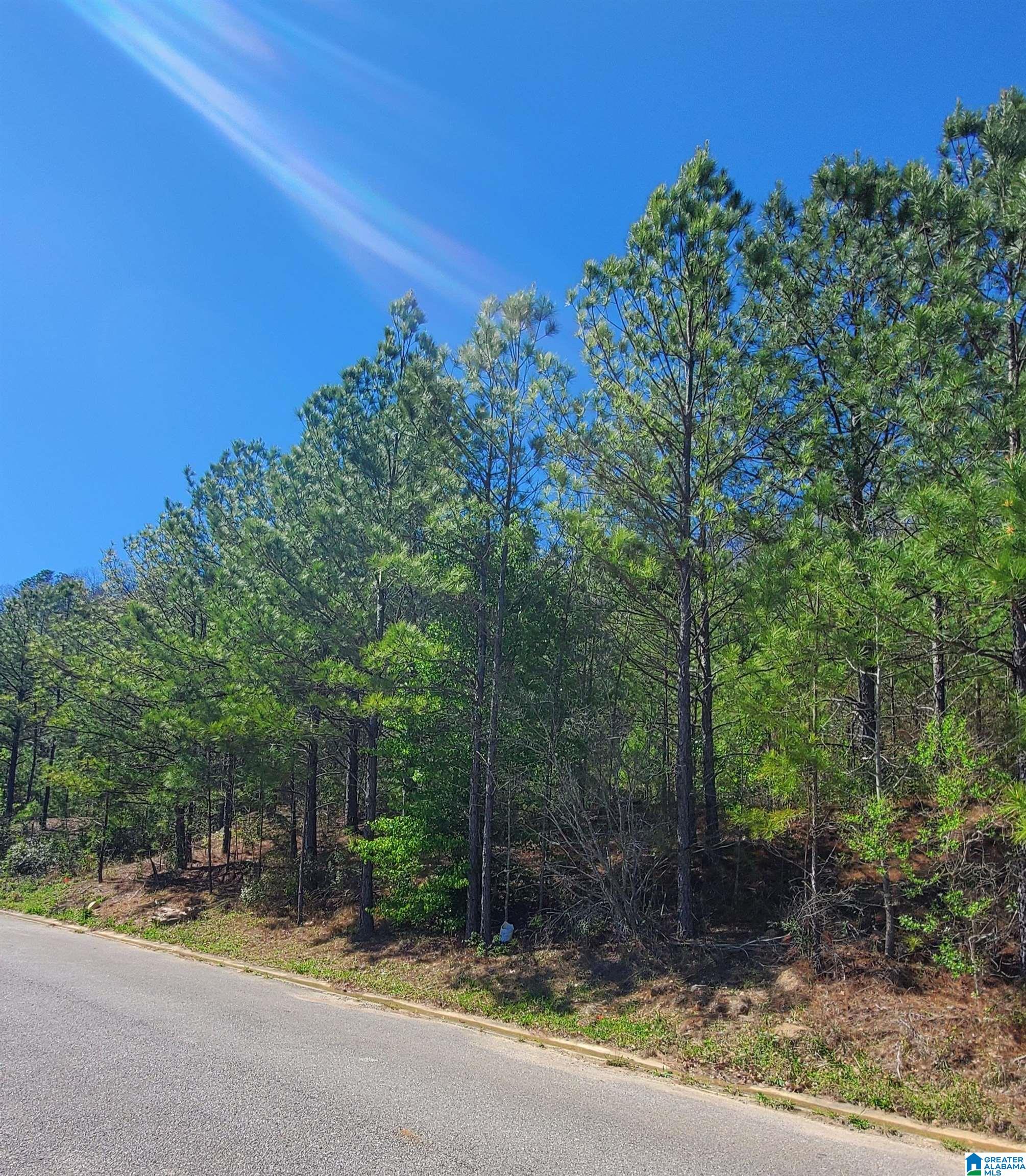 Homes for sale in Mc Calla, AL | 5912 High Forest Dr, Mc Calla, AL 35111 | MLS# 21446991