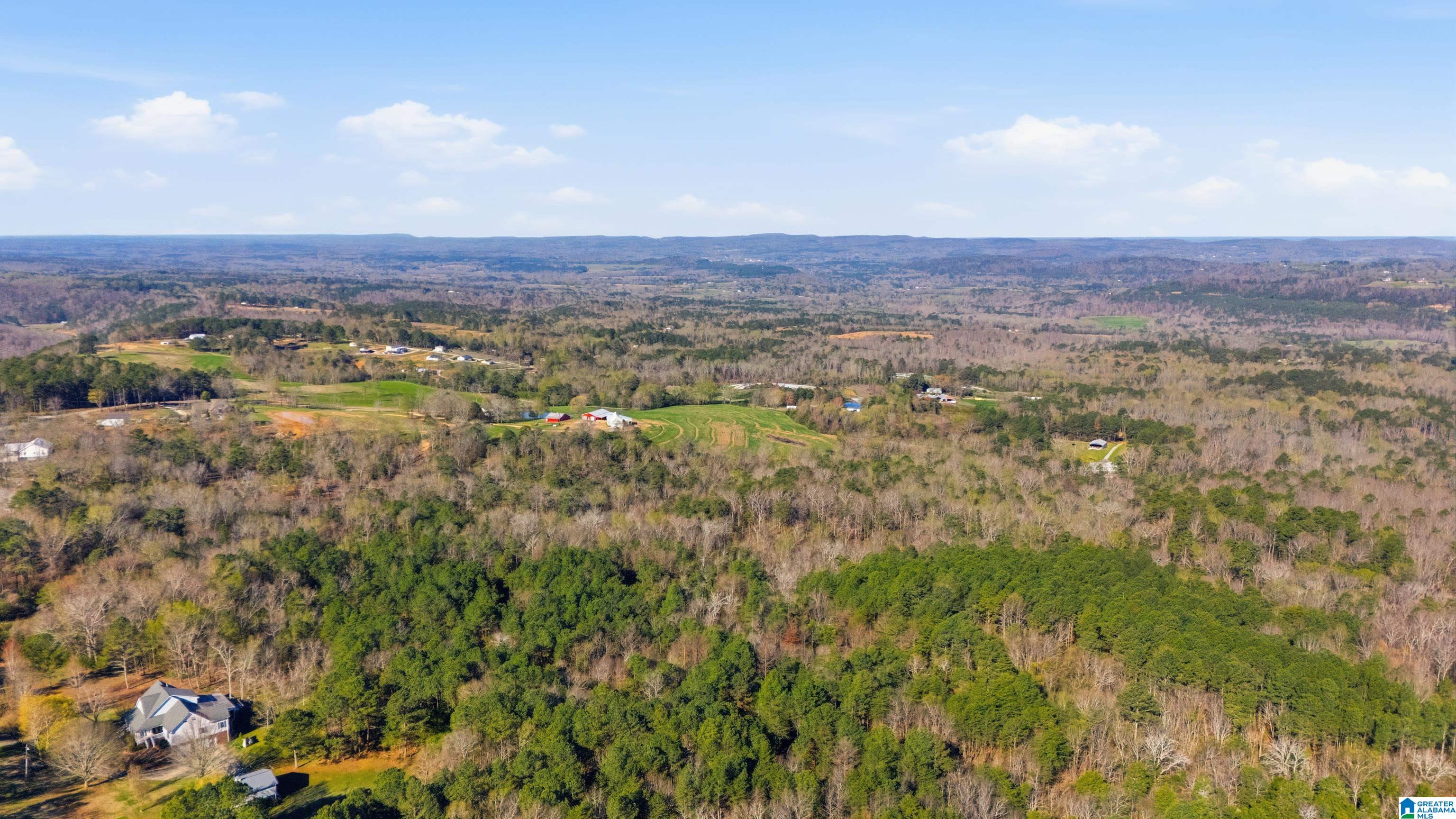 Homes for sale in Oneonta, AL | 3710 Ebell Road, Oneonta, AL 35121 | MLS# 21447011