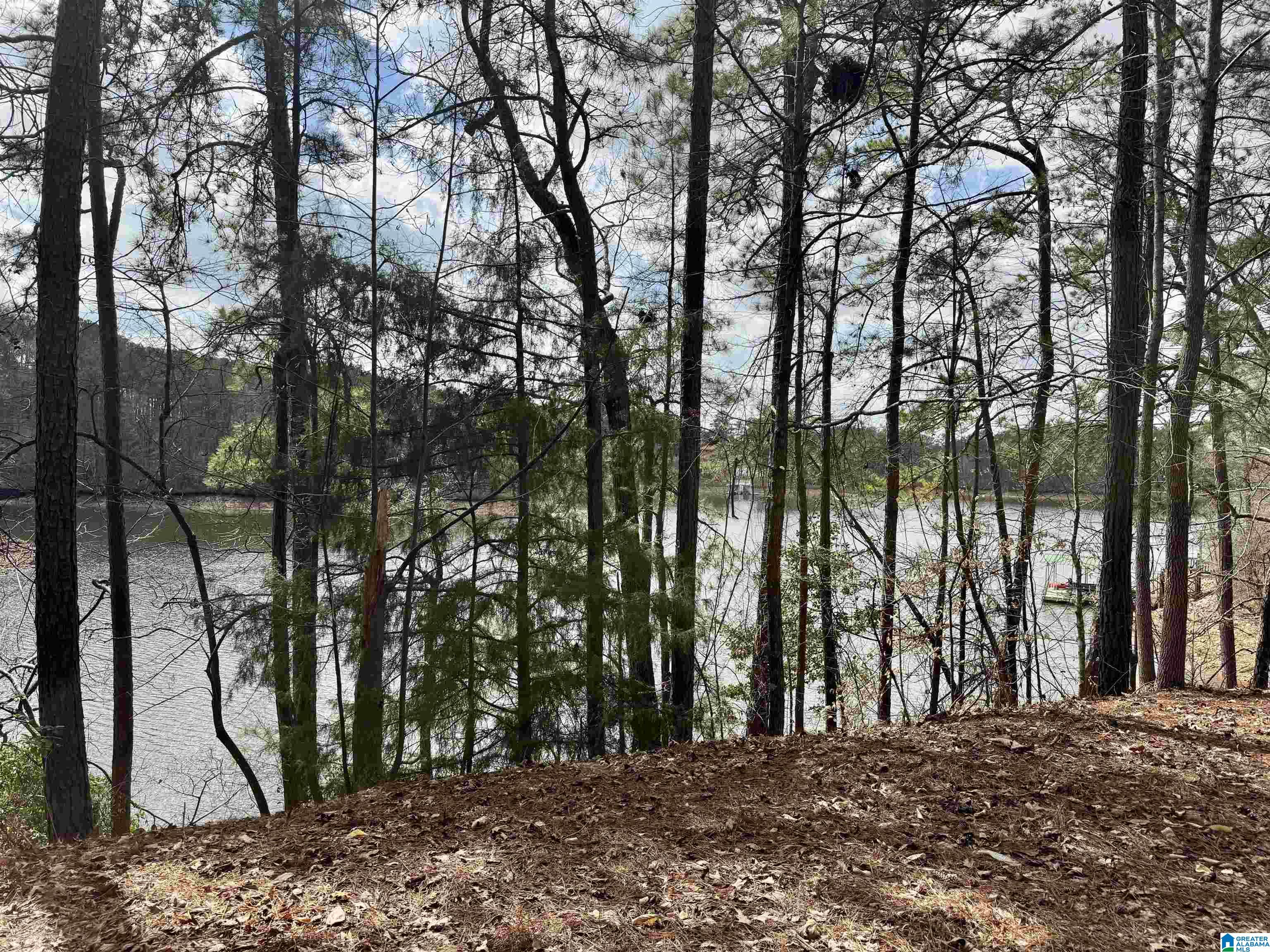 Homes for sale in Wedowee, AL | Lot 6 County Road 813, Wedowee, AL 36278 | MLS# 21447076