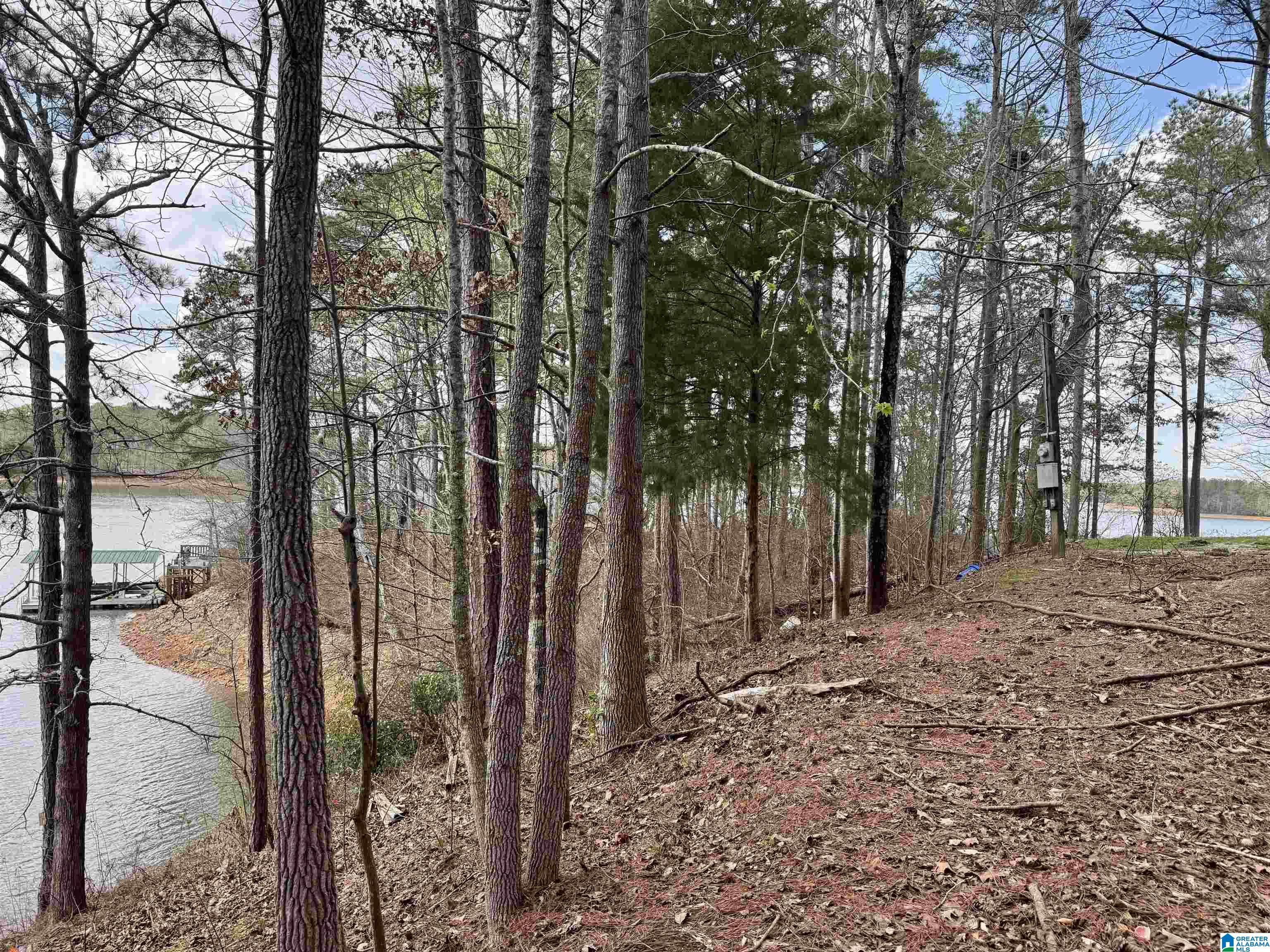 Homes for sale in Wedowee, AL | Lot 6 County Road 813, Wedowee, AL 36278 | MLS# 21447076