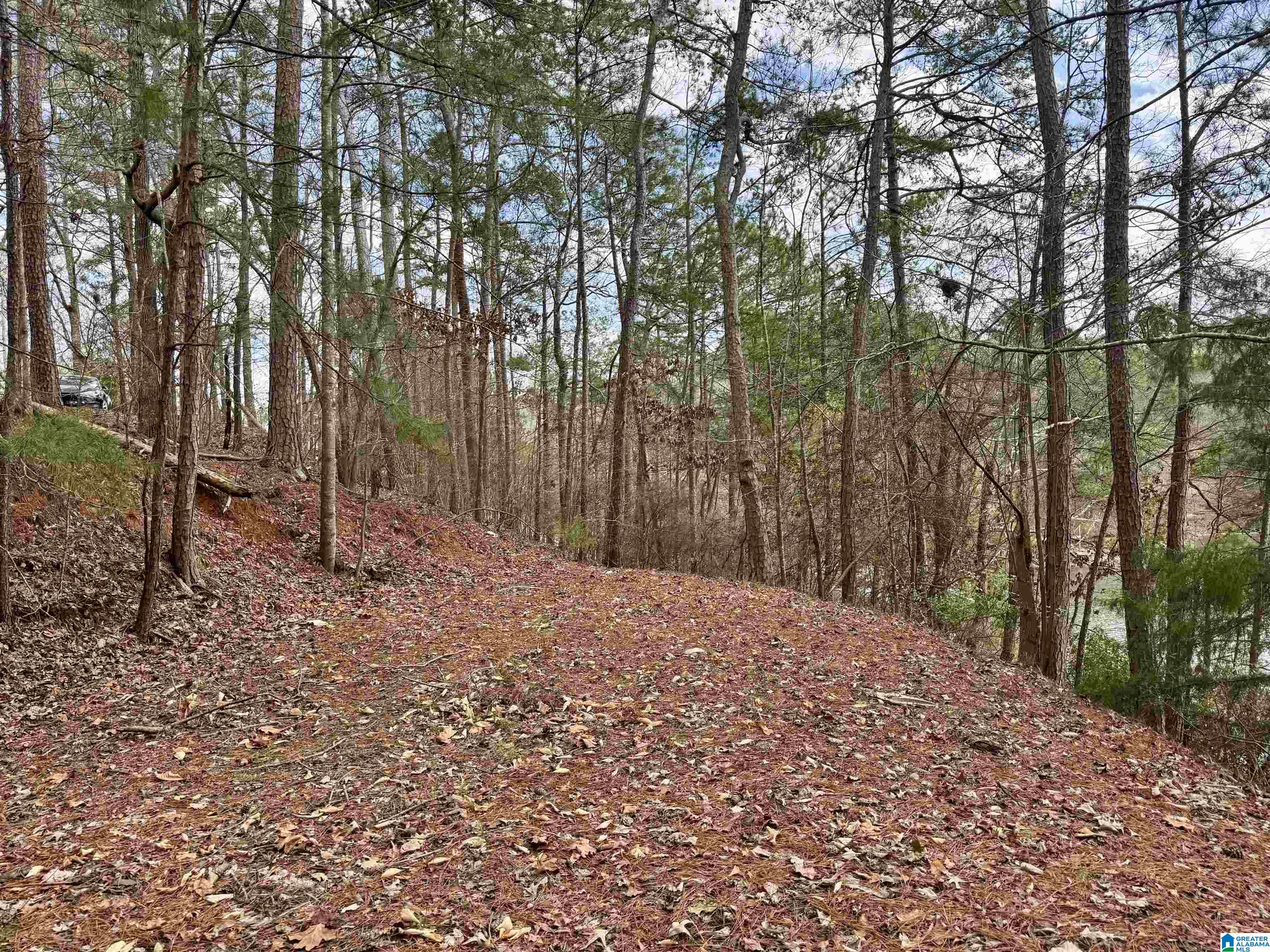 Homes for sale in Wedowee, AL | Lot 6 County Road 813, Wedowee, AL 36278 | MLS# 21447076