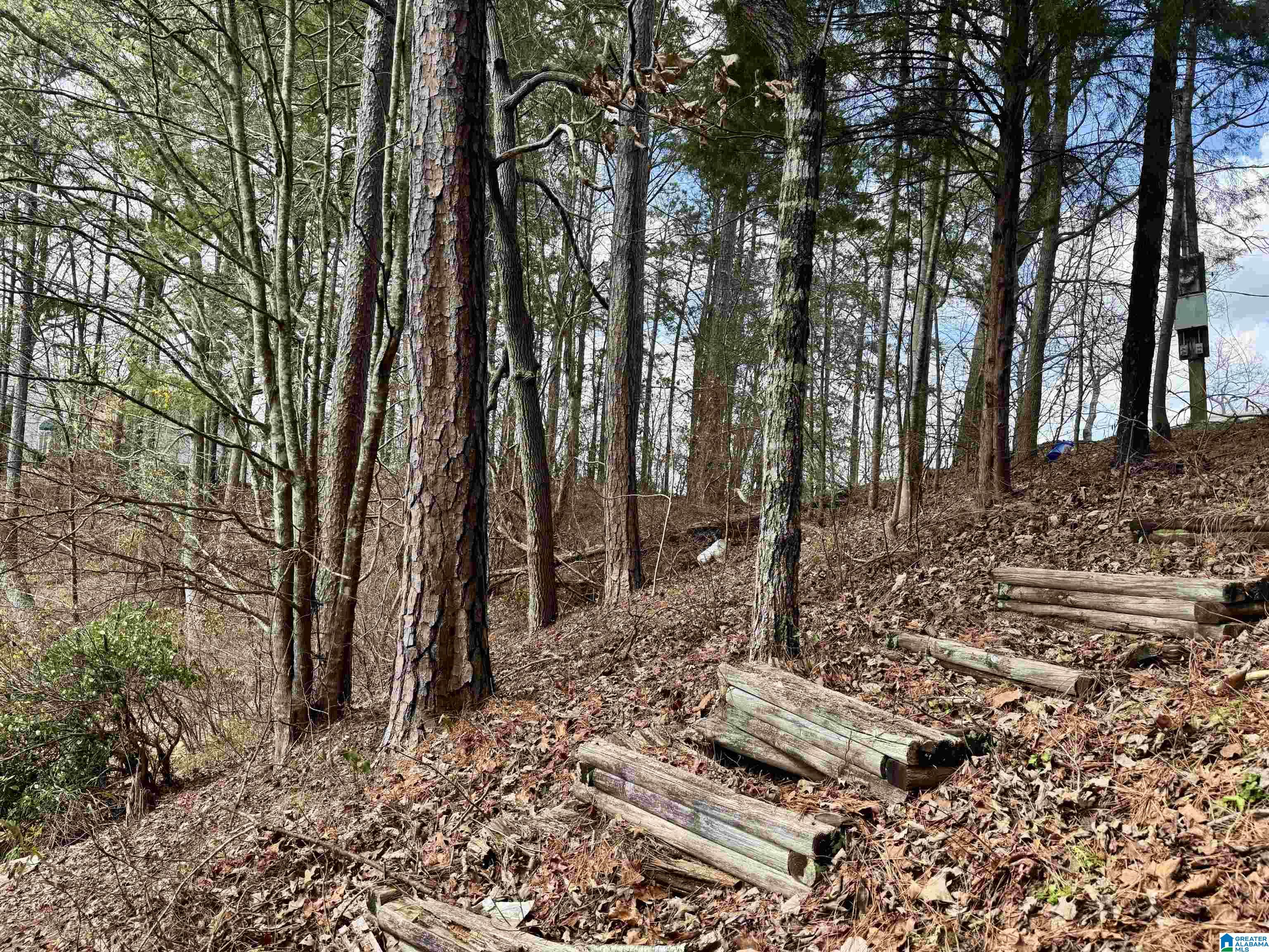 Homes for sale in Wedowee, AL | Lot 6 County Road 813, Wedowee, AL 36278 | MLS# 21447076