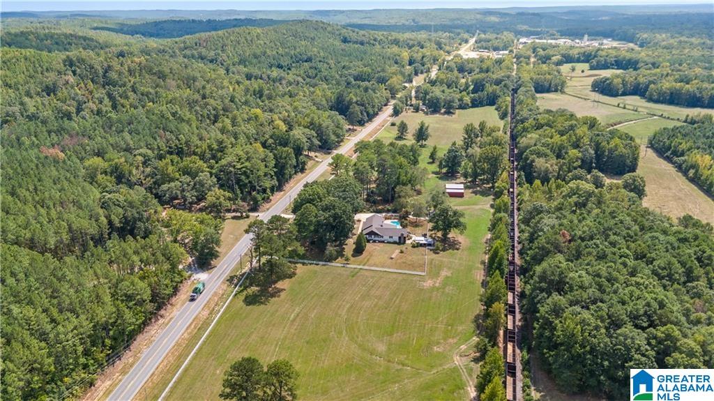 Homes for sale in Belk, AL | 6450 Hwy 96, Belk, AL 35555 | MLS# 21447087