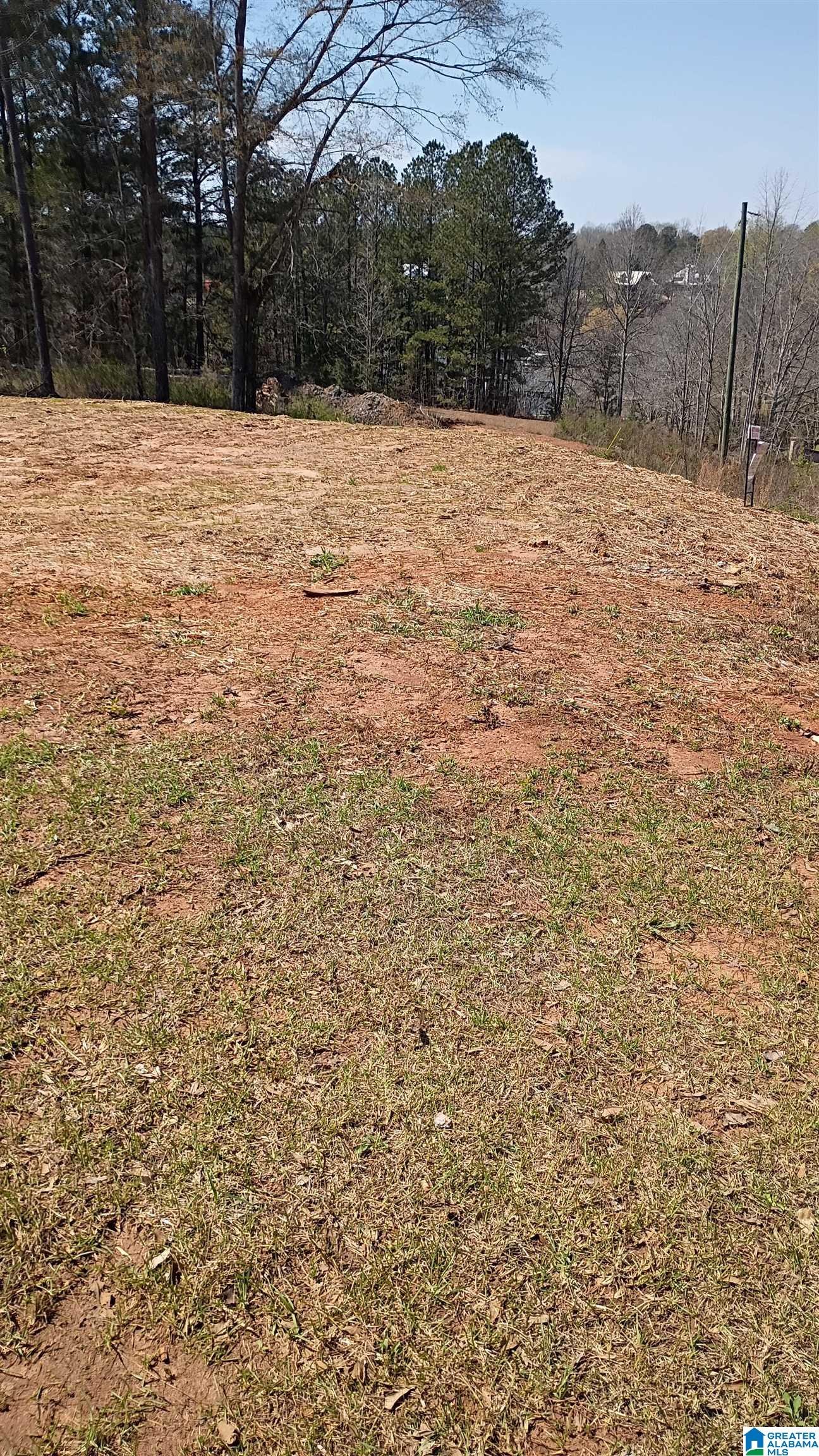 Photo 4 of Land for sale at Lot 34 Peninsula Dr, Wedowee, AL 36278 | MLS# 21447094 | Listing updated on 2026-03-20