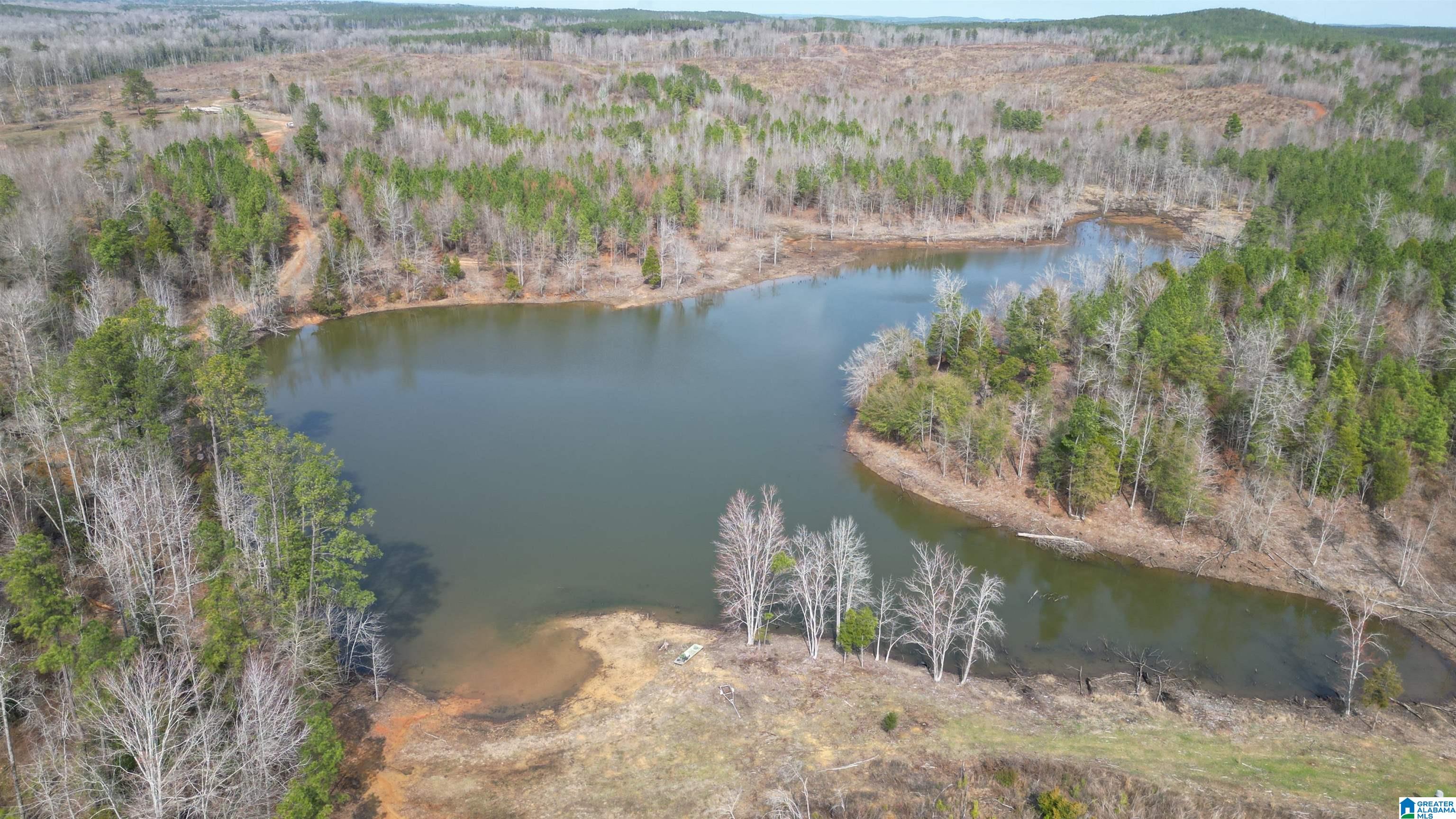 Homes for sale in Centreville, AL | O Bluebird Lane, Centreville, AL 35042 | MLS# 21447121