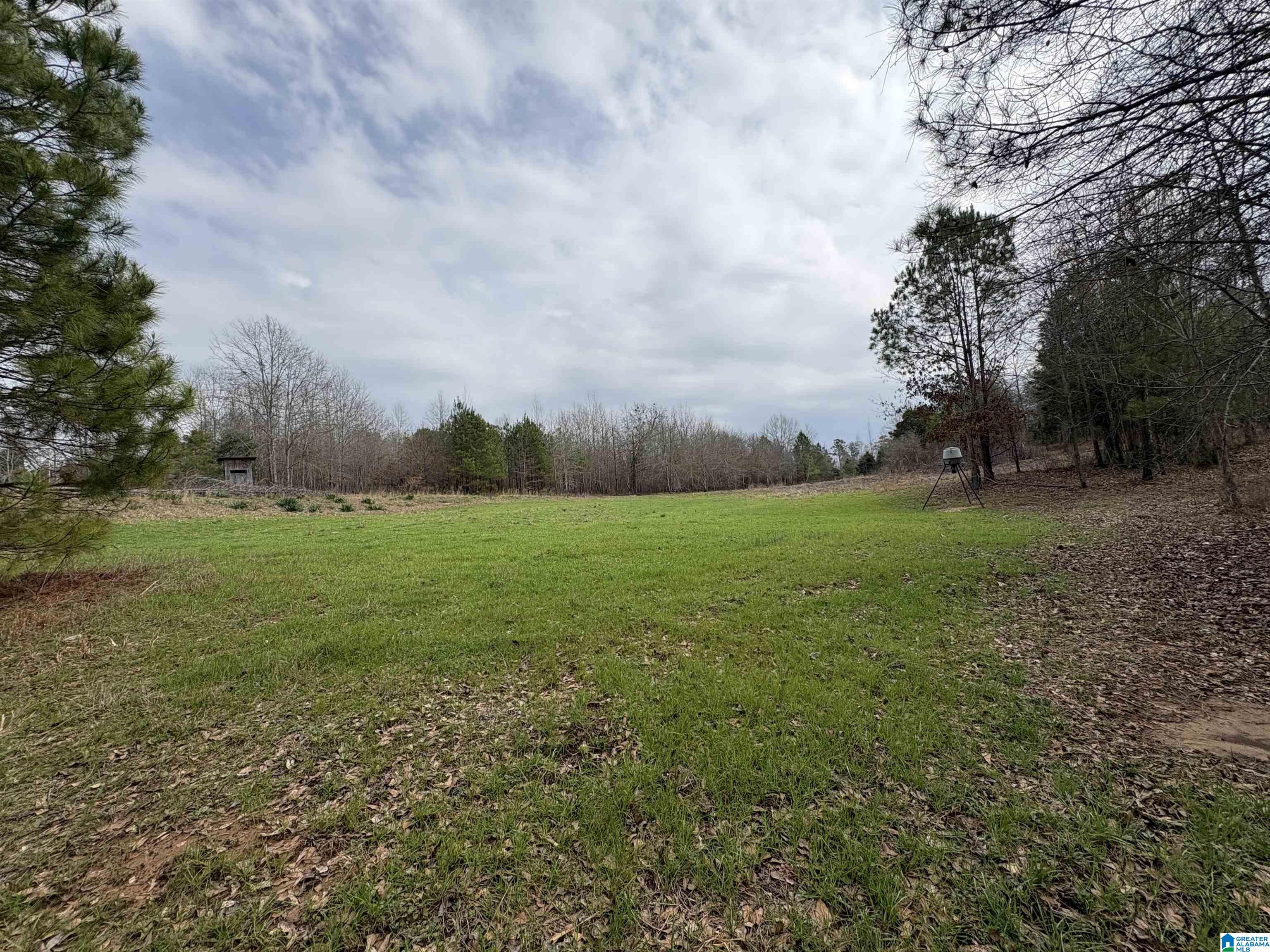 Homes for sale in Centreville, AL | O Bluebird Lane, Centreville, AL 35042 | MLS# 21447121