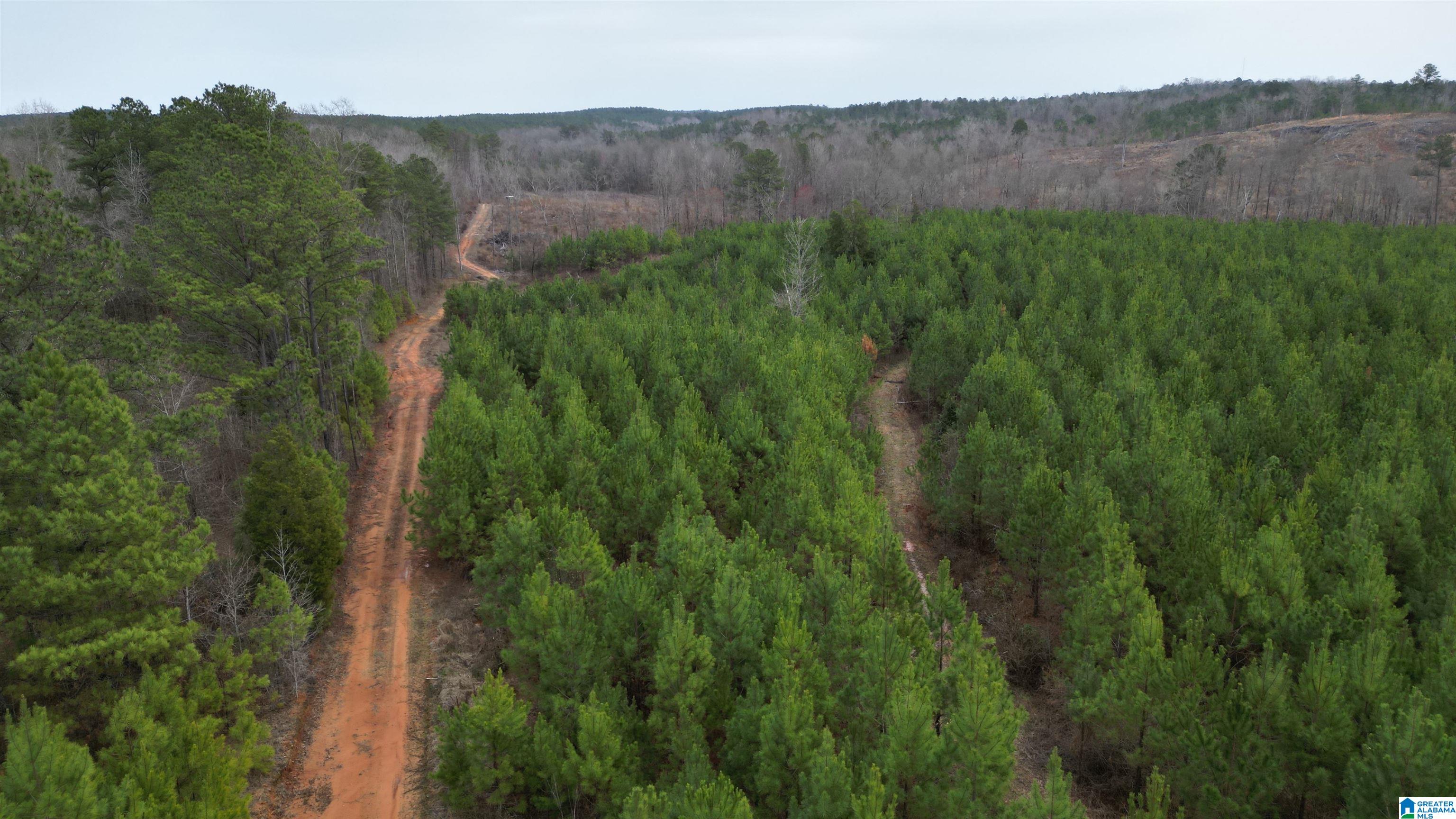 Homes for sale in Centreville, AL | O Bluebird Lane, Centreville, AL 35042 | MLS# 21447121