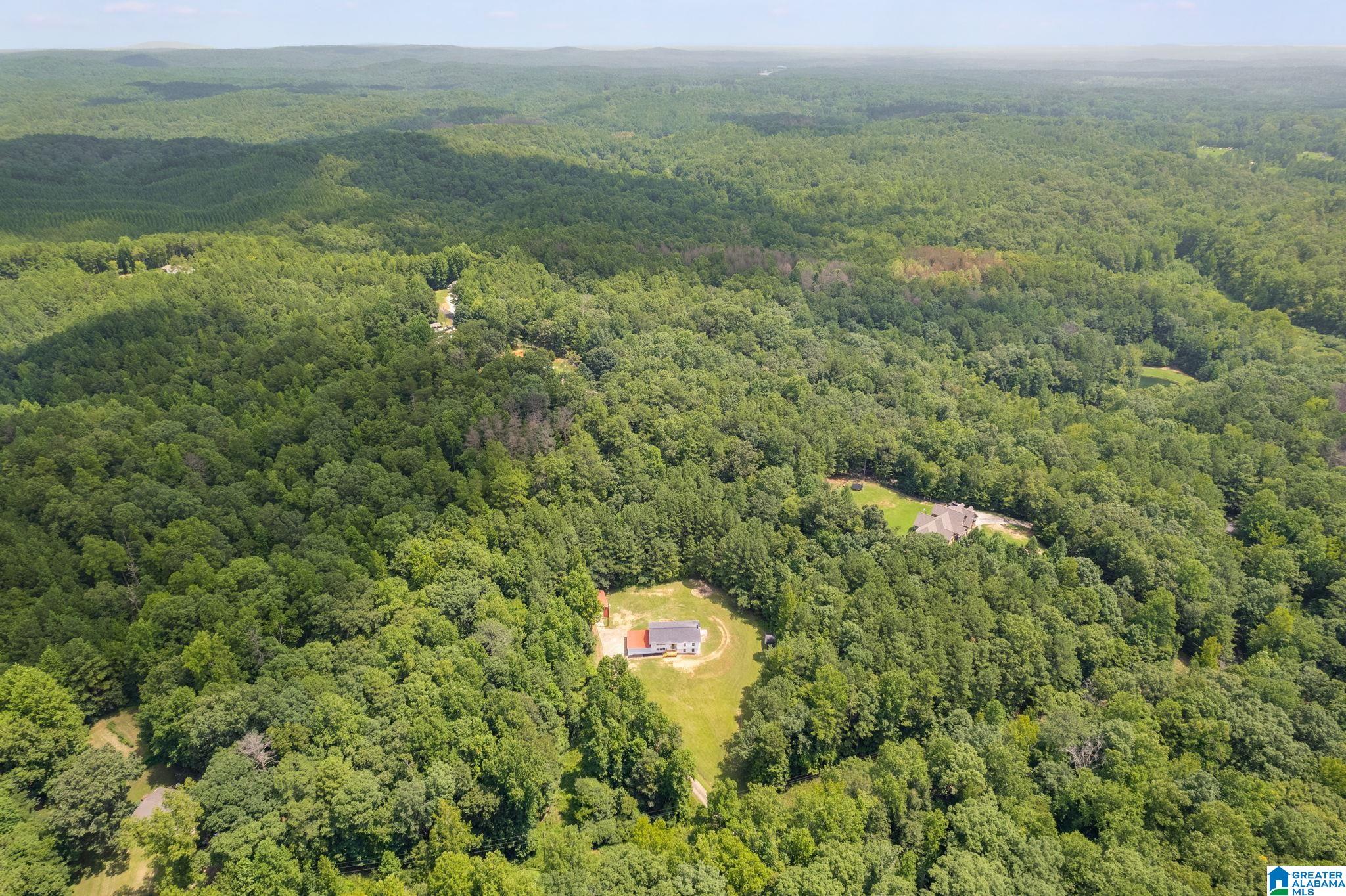 Homes for sale in Heflin, AL | 820 Boozer Road, Heflin, AL 36264 | MLS# 21447145