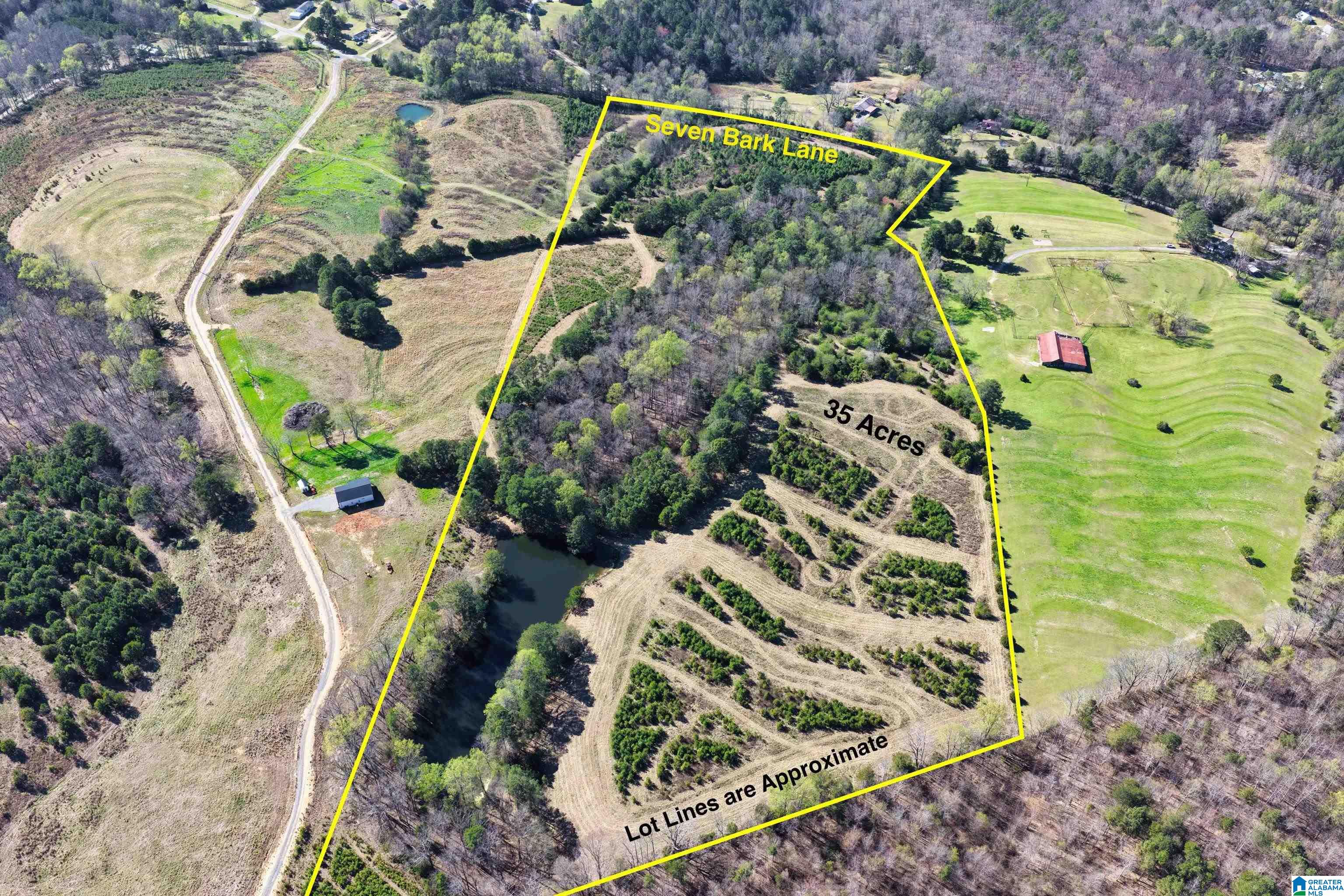 Homes for sale in Oneonta, AL | 0 Seven Bark Lane, Oneonta, AL 35121 | MLS# 21447203