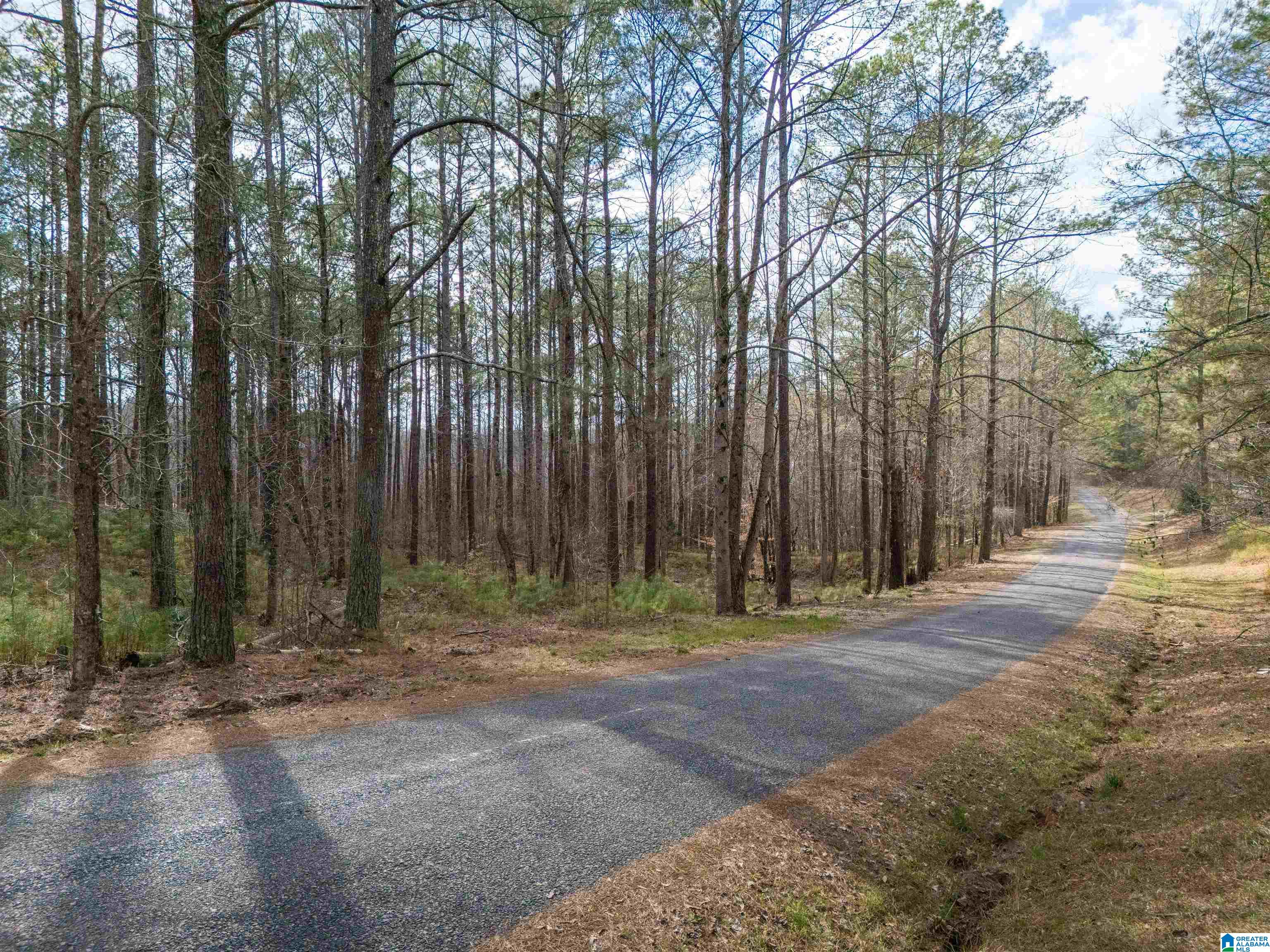 14th image of 0 Creek Run Road, Wedowee, AL 36278 | MLS# 21447322