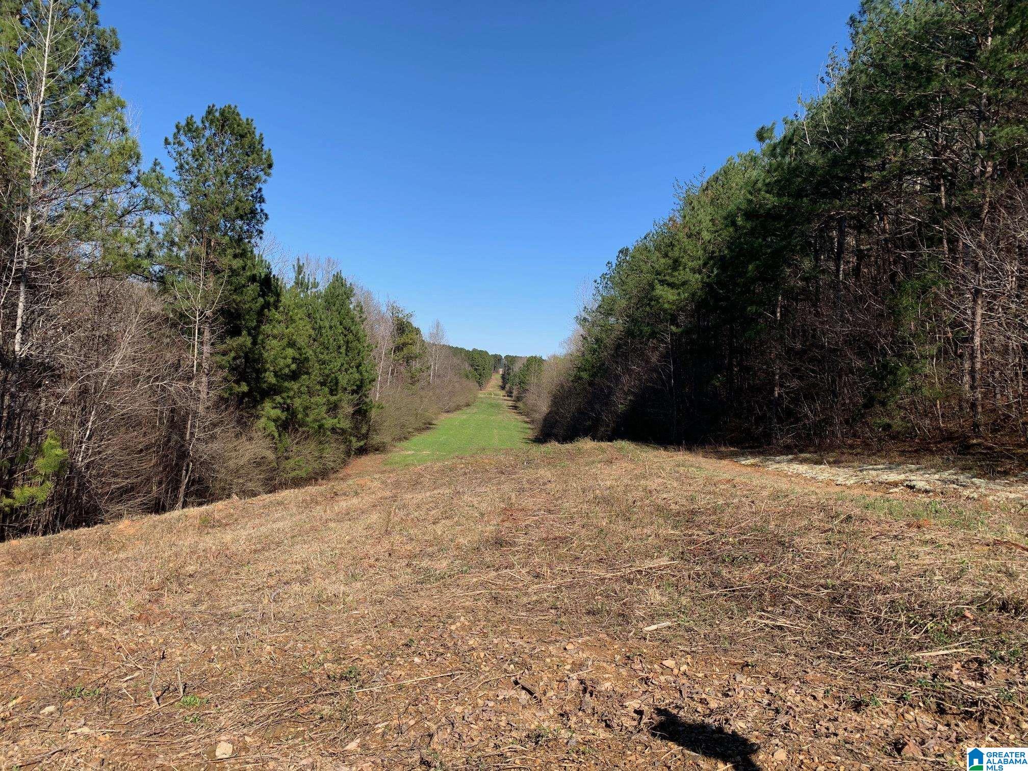 Homes for sale in West Blocton, AL | 2 Mountainside Dr, West Blocton, AL 35184 | MLS# 21447389