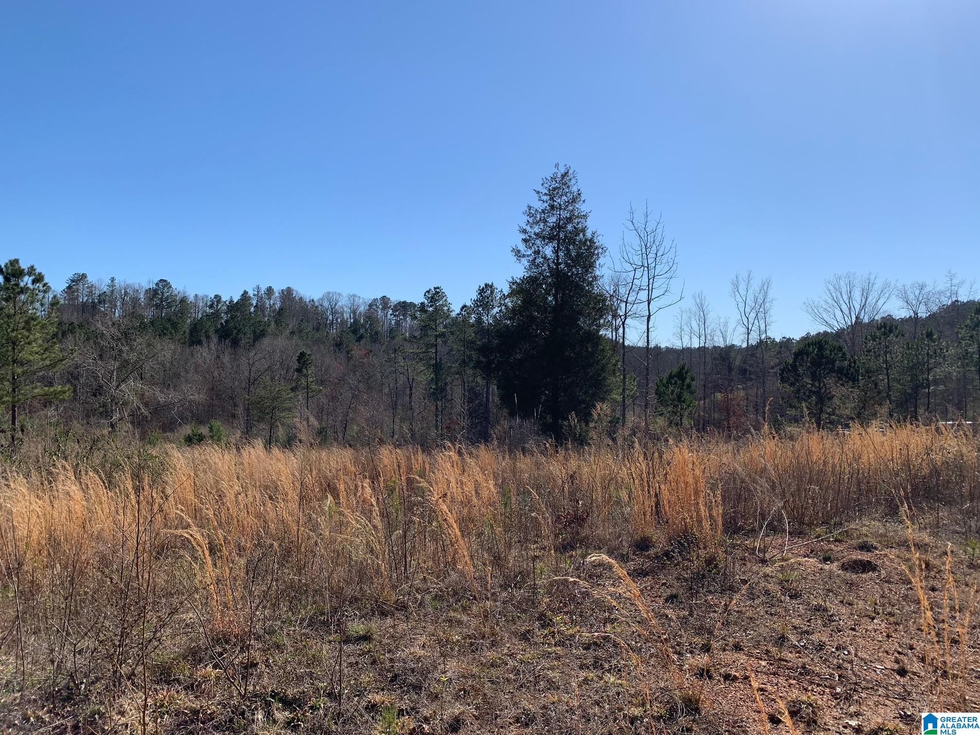 Homes for sale in West Blocton, AL | 2 Mountainside Dr, West Blocton, AL 35184 | MLS# 21447389