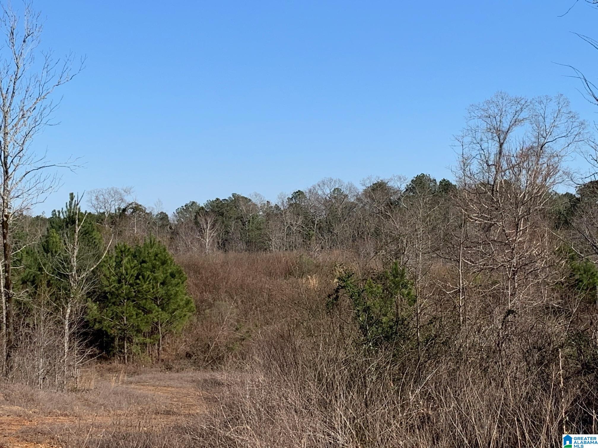 Homes for sale in West Blocton, AL | 2 Mountainside Dr, West Blocton, AL 35184 | MLS# 21447389