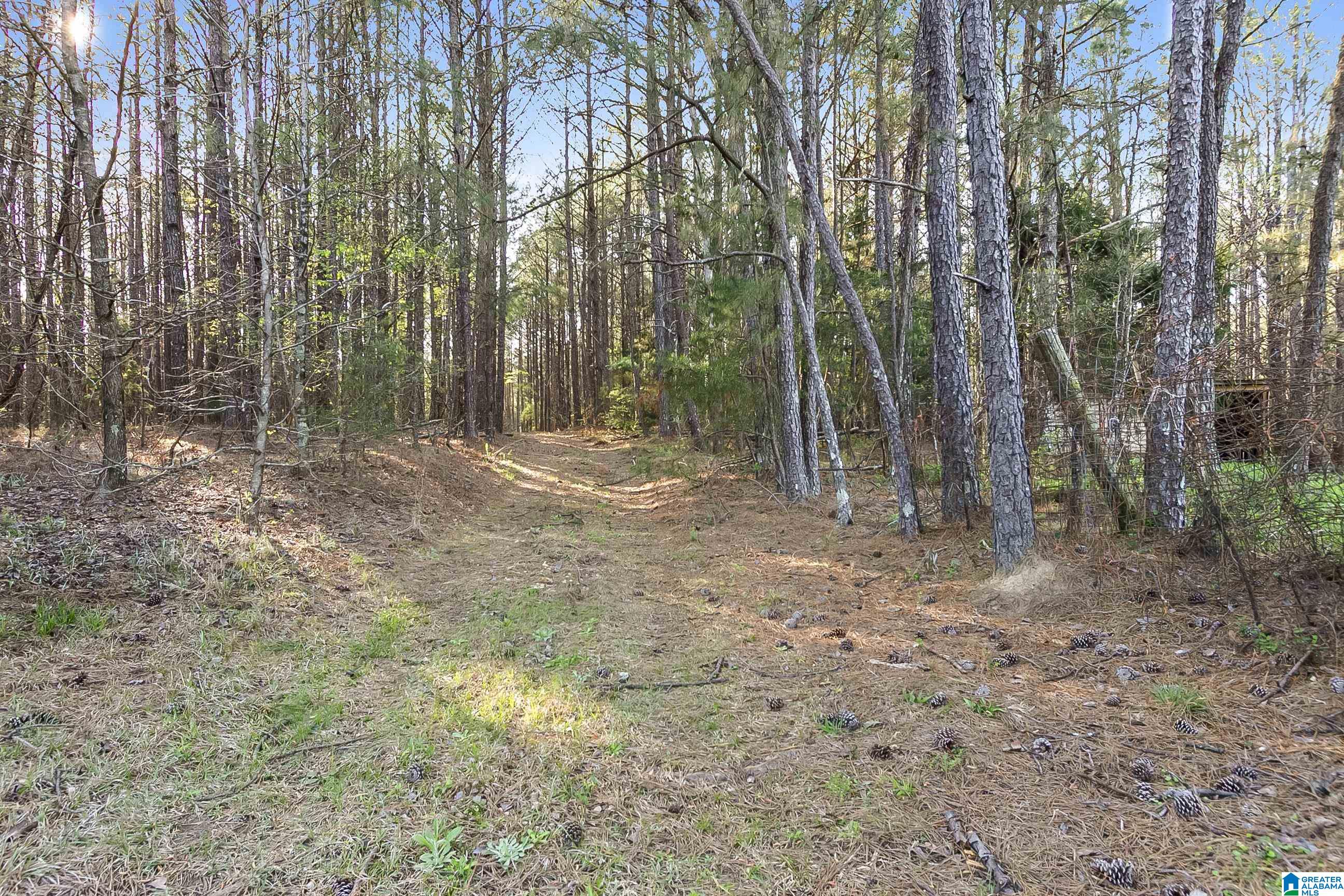 Homes for sale in Berry, AL | 1901 County Road 83, Berry, AL 35546 | MLS# 21447464