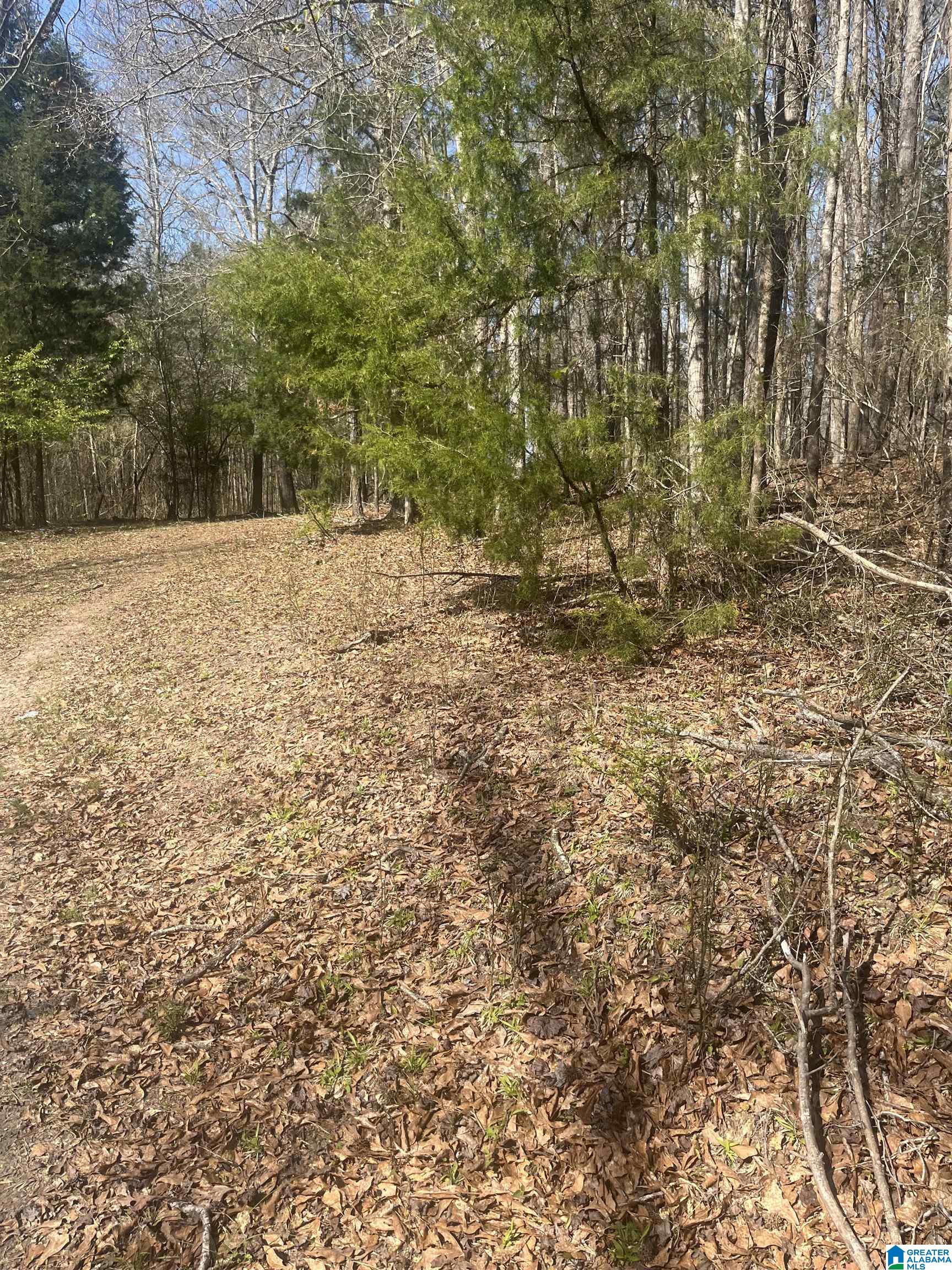 Homes for sale in West Blocton, AL | 0 Crystal Lake Road, West Blocton, AL 35184 | MLS# 21447478