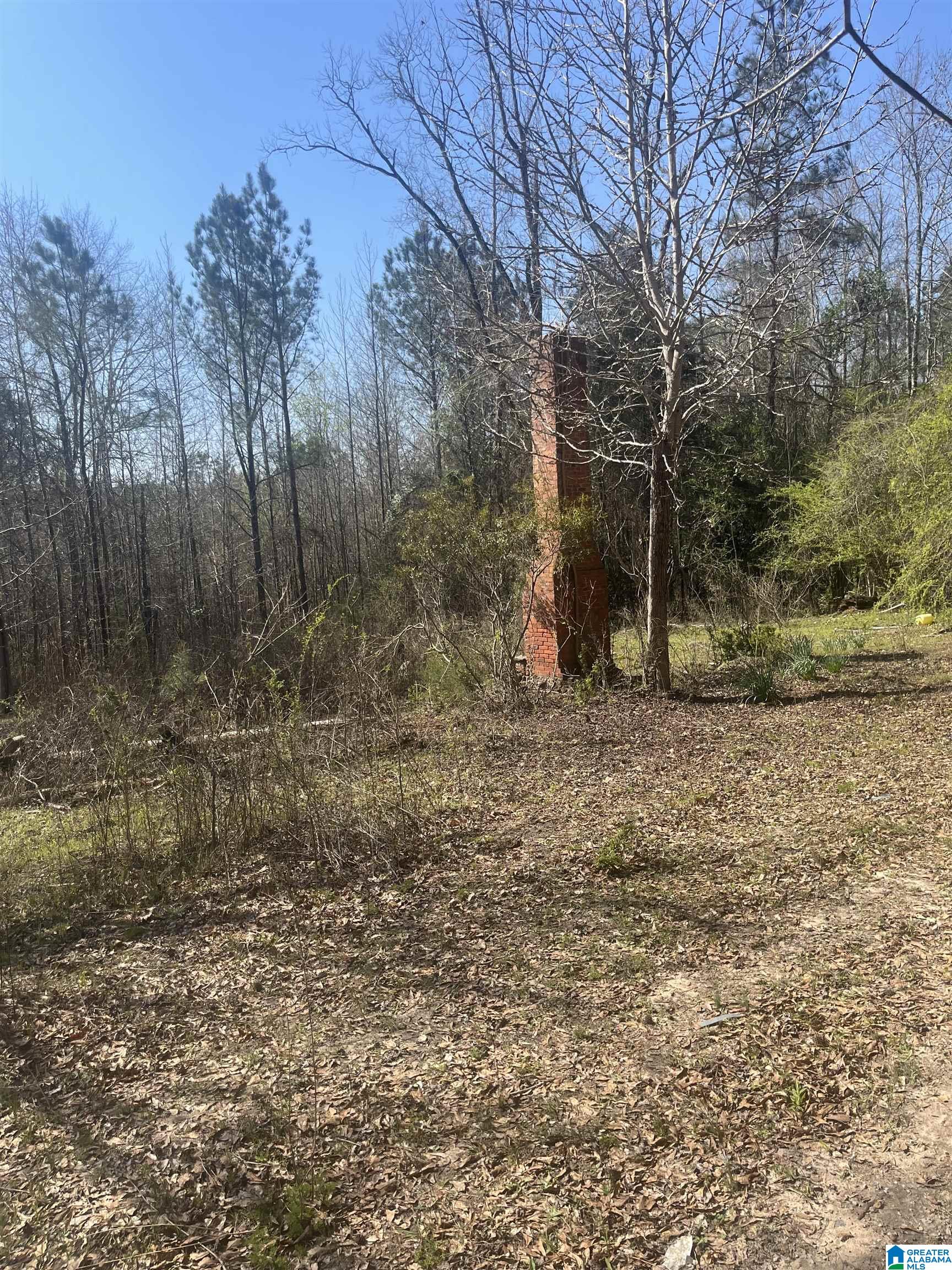Homes for sale in West Blocton, AL | 0 Crystal Lake Road, West Blocton, AL 35184 | MLS# 21447478