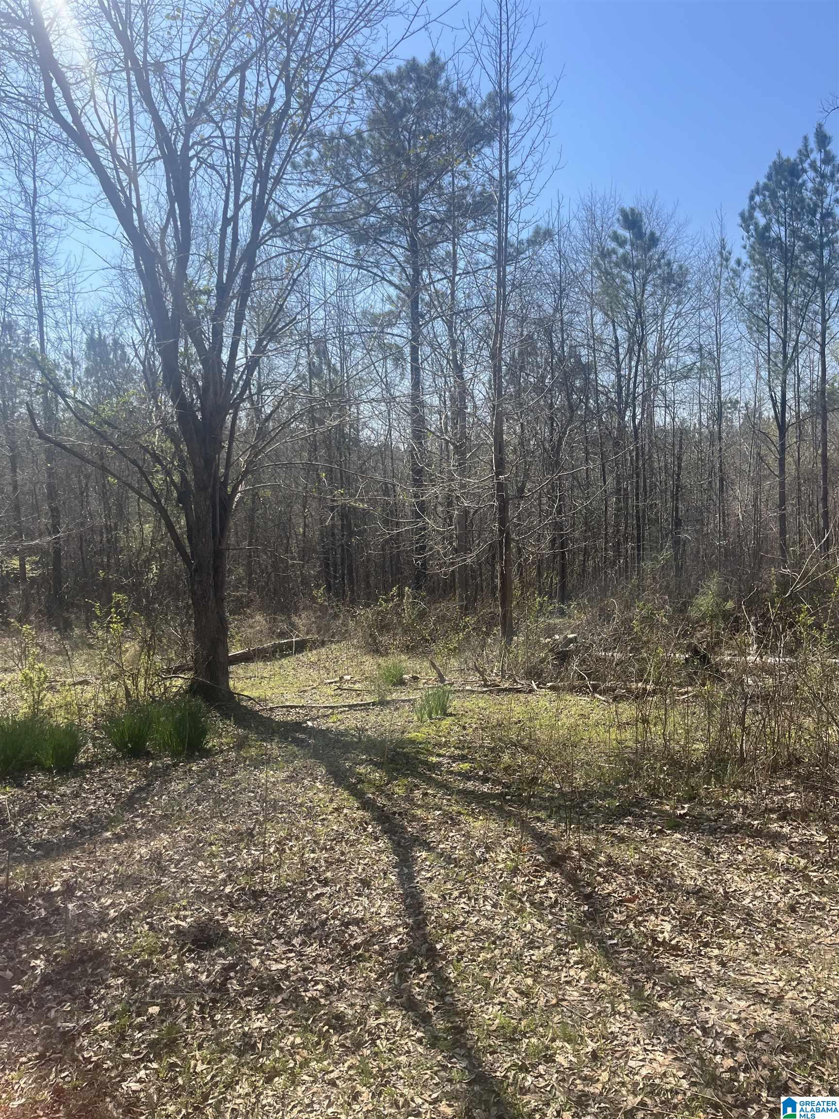 Homes for sale in West Blocton, AL | 0 Crystal Lake Road, West Blocton, AL 35184 | MLS# 21447478