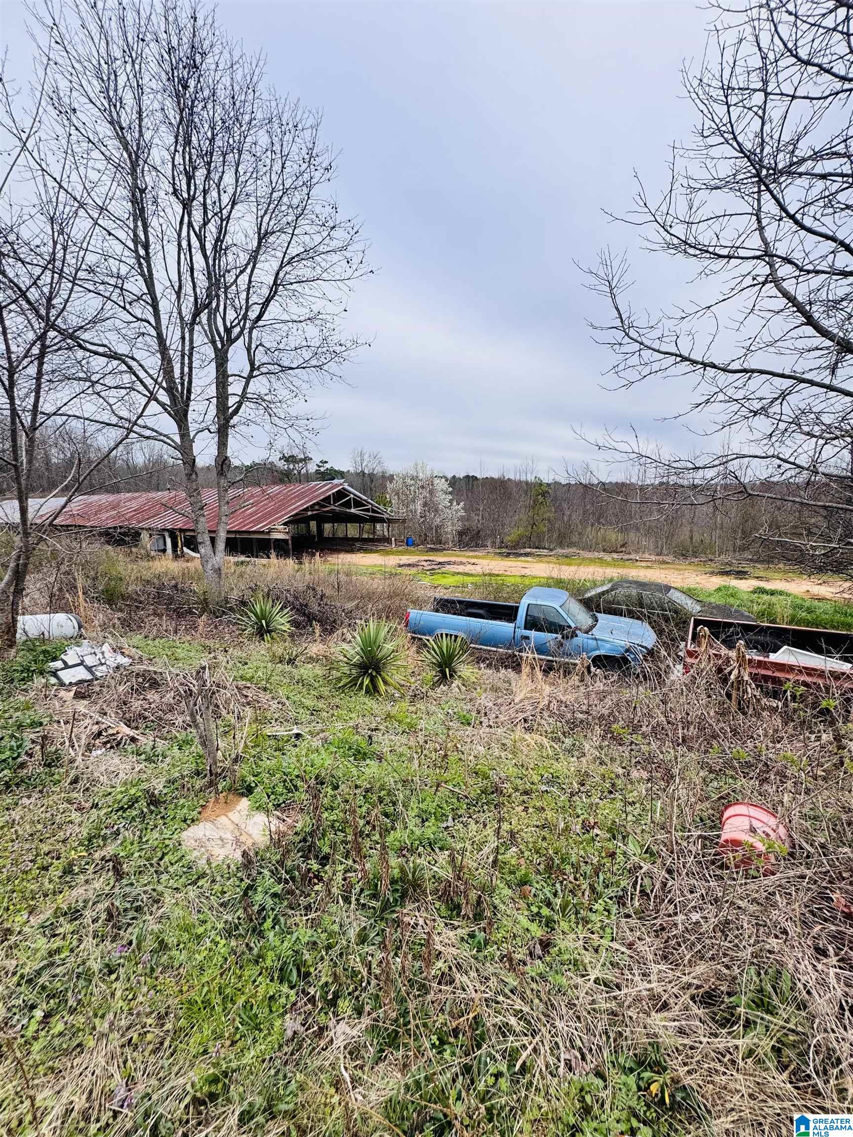 Homes for sale in Pell City, AL | 229 Graham Road, Pell City, AL 35125 | MLS# 21447490