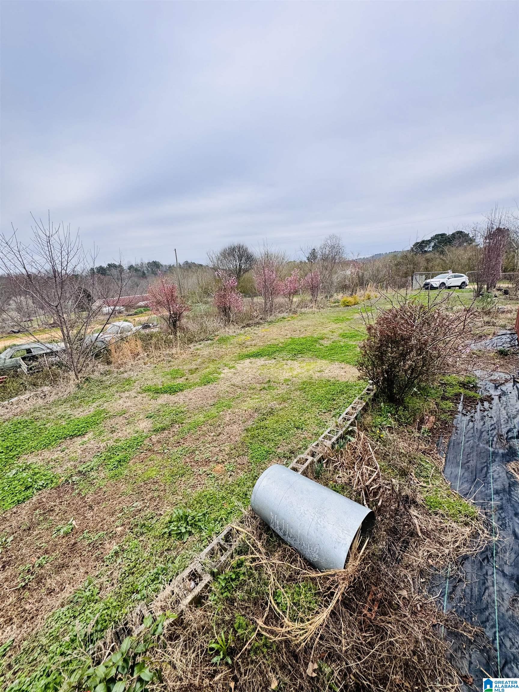 Homes for sale in Pell City, AL | 229 Graham Road, Pell City, AL 35125 | MLS# 21447490