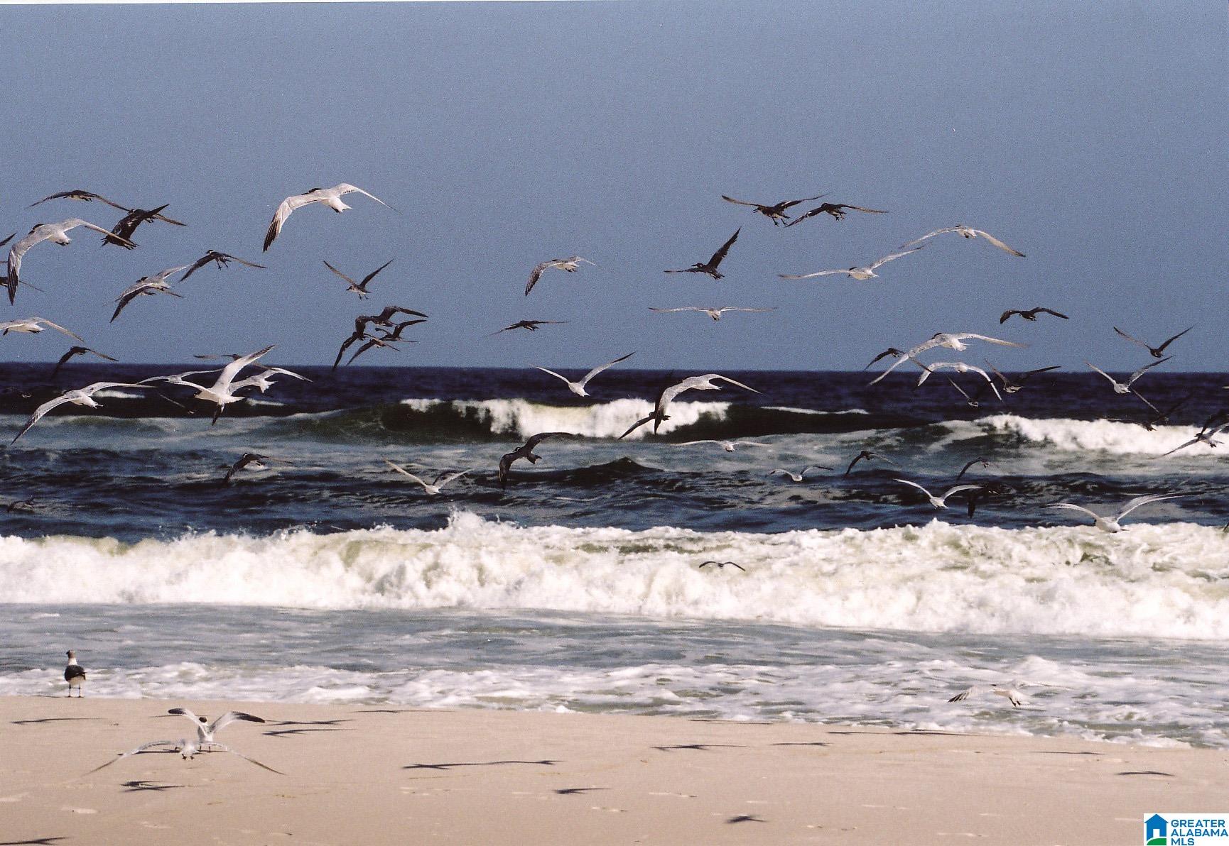46th image of 24230 Perdido Beach Boulevard #3144-14, Orange Beach, AL 36561 | MLS# 21447493