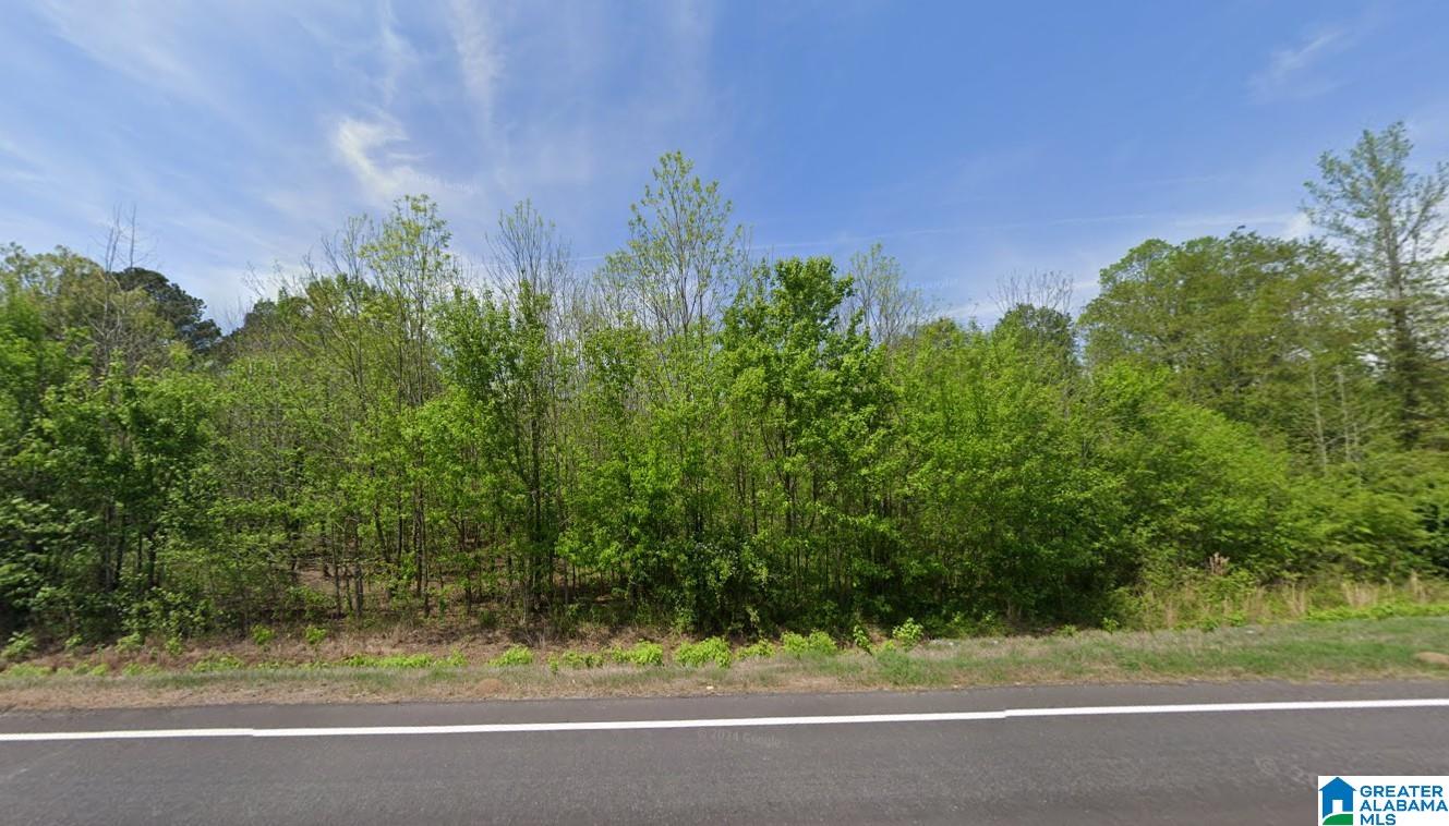 Homes for sale in Steele, AL | 22731 Us Hwy 11, Steele, AL 35987 | MLS# 21447783