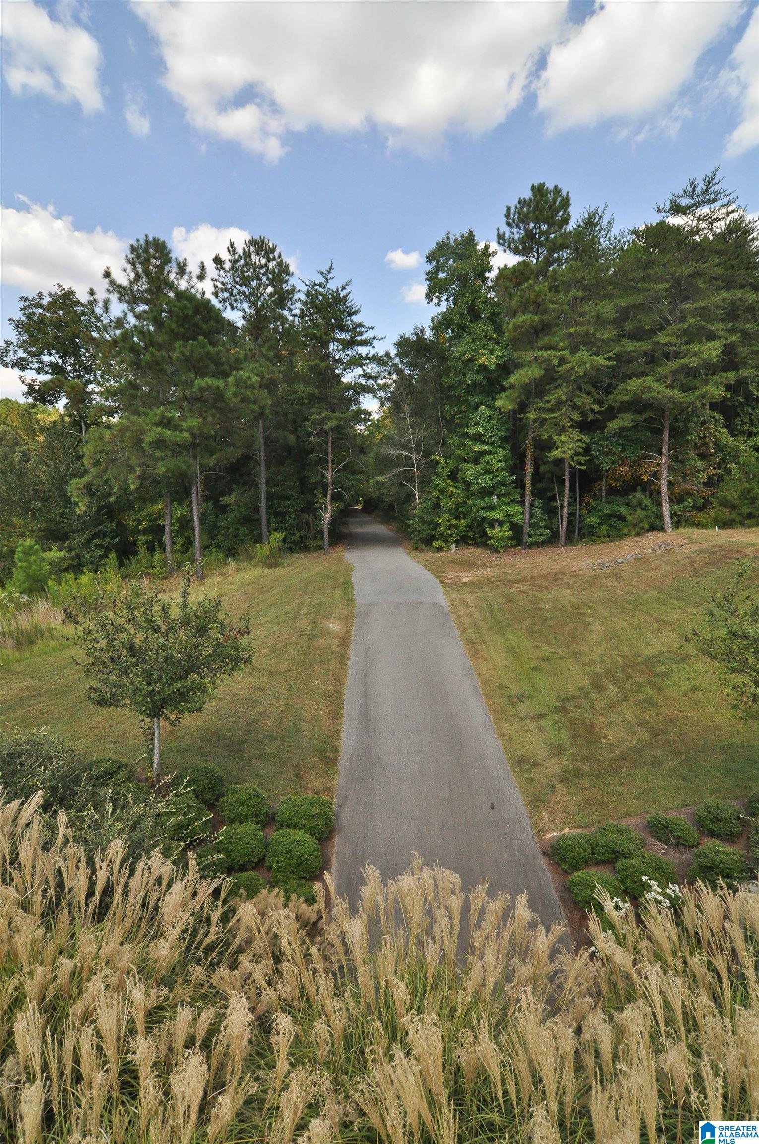 54th image of 109 Rowntree Path, Helena, AL 35080 | MLS# 21447955