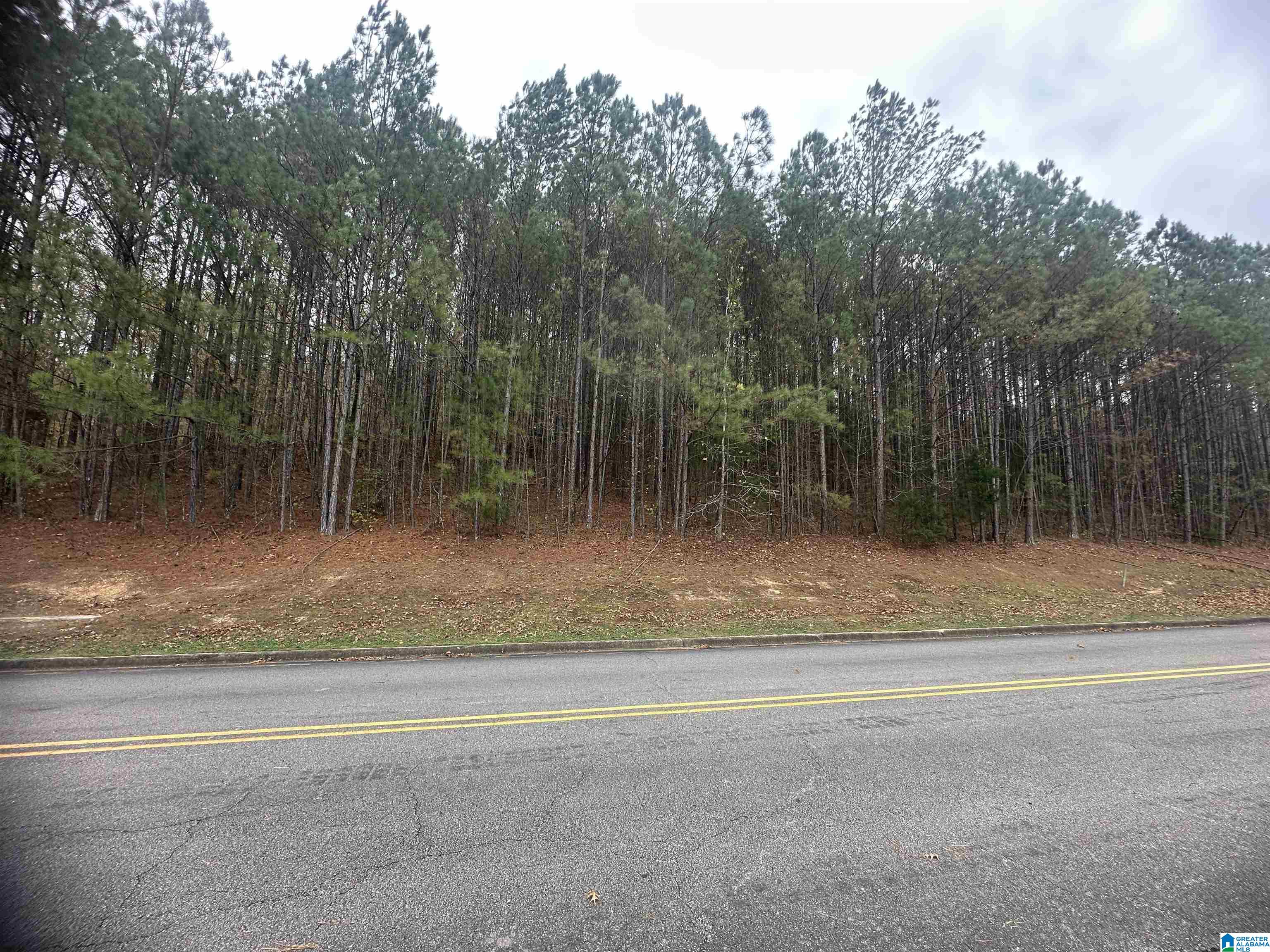 Homes for sale in Oneonta, AL | 1166 Saint Andrews Parkway, Oneonta, AL 35121 | MLS# 21447997