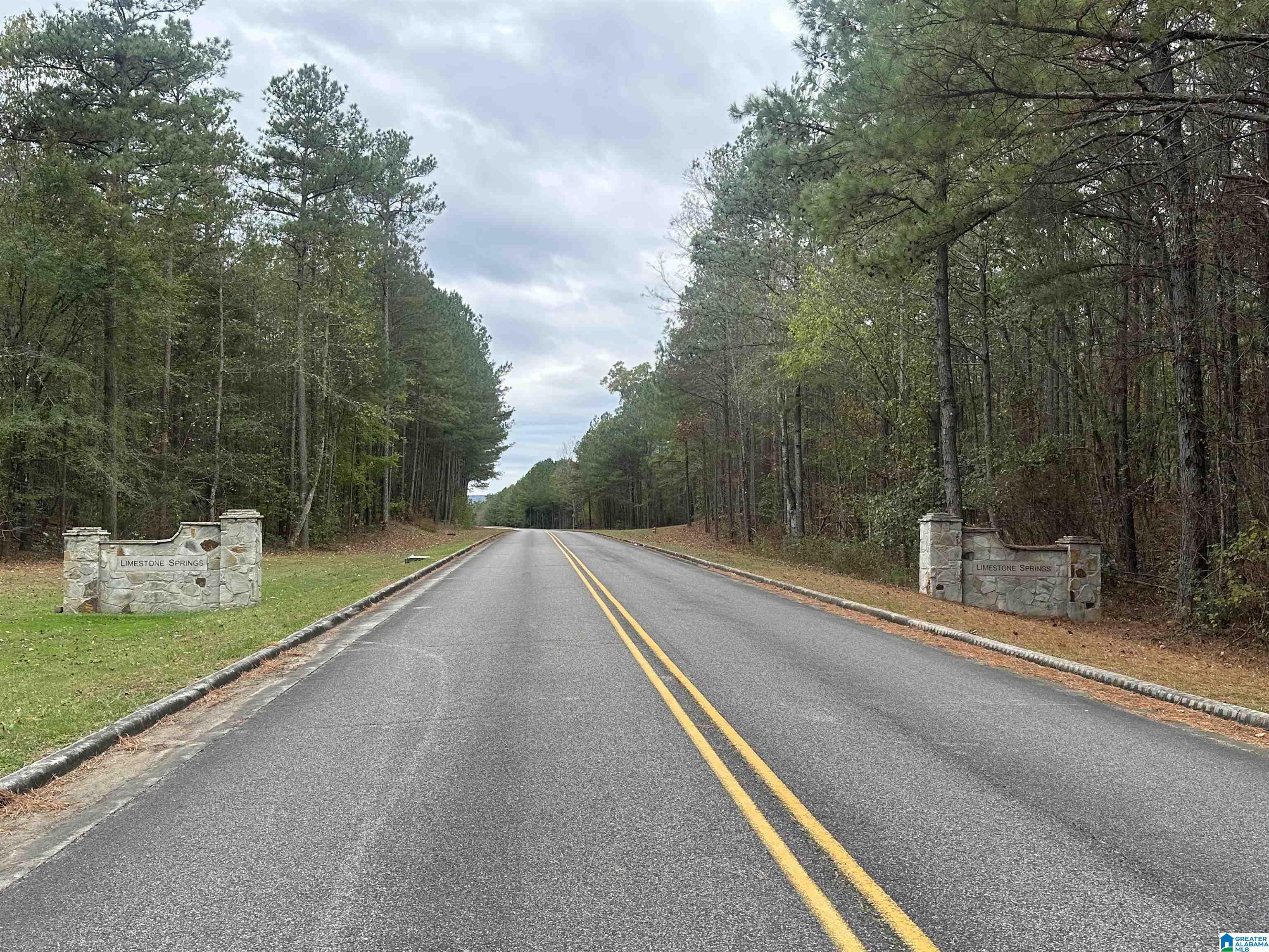 Homes for sale in Oneonta, AL | 1166 Saint Andrews Parkway, Oneonta, AL 35121 | MLS# 21447997