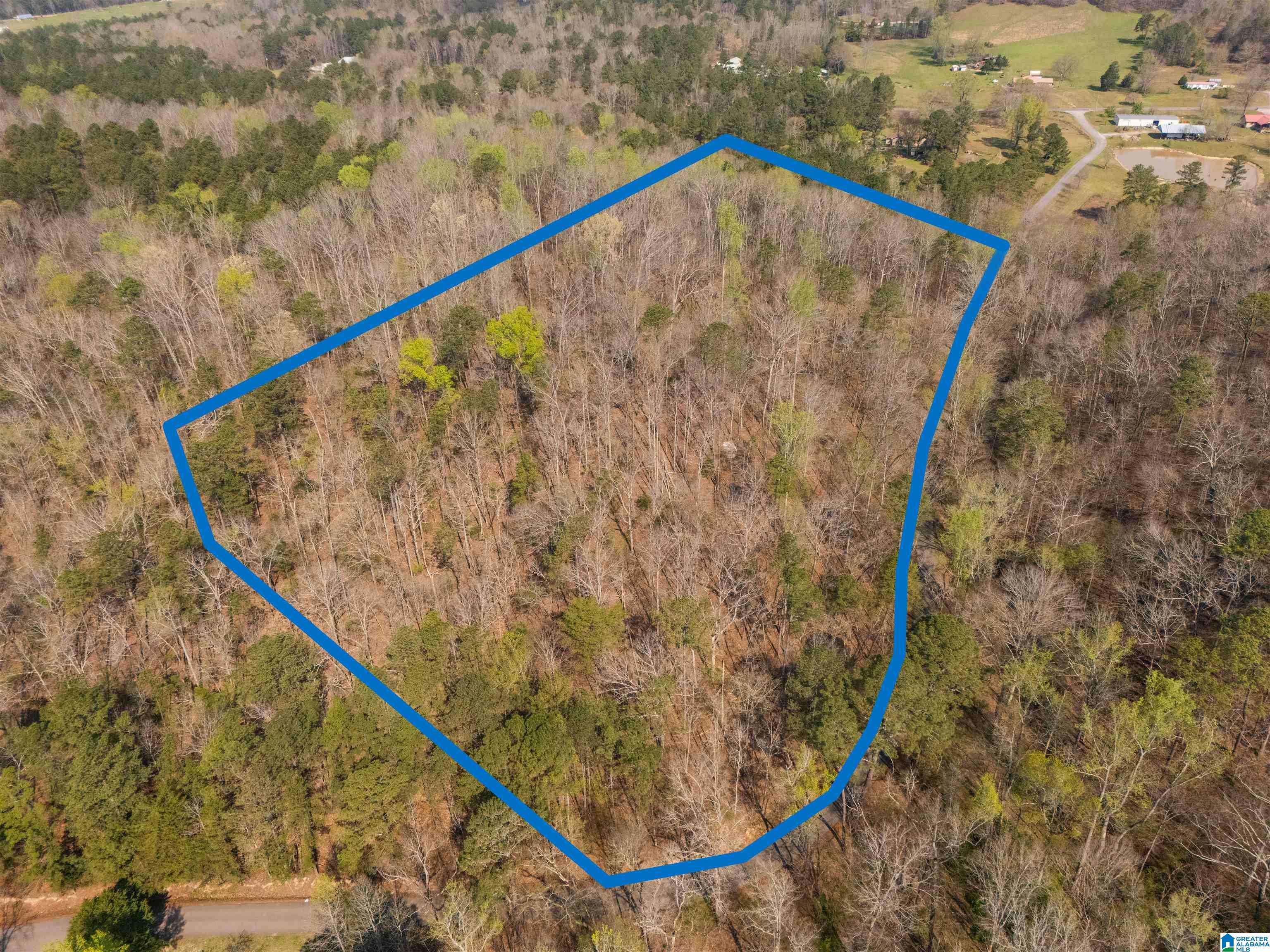 12 Acres ALLISON LANE