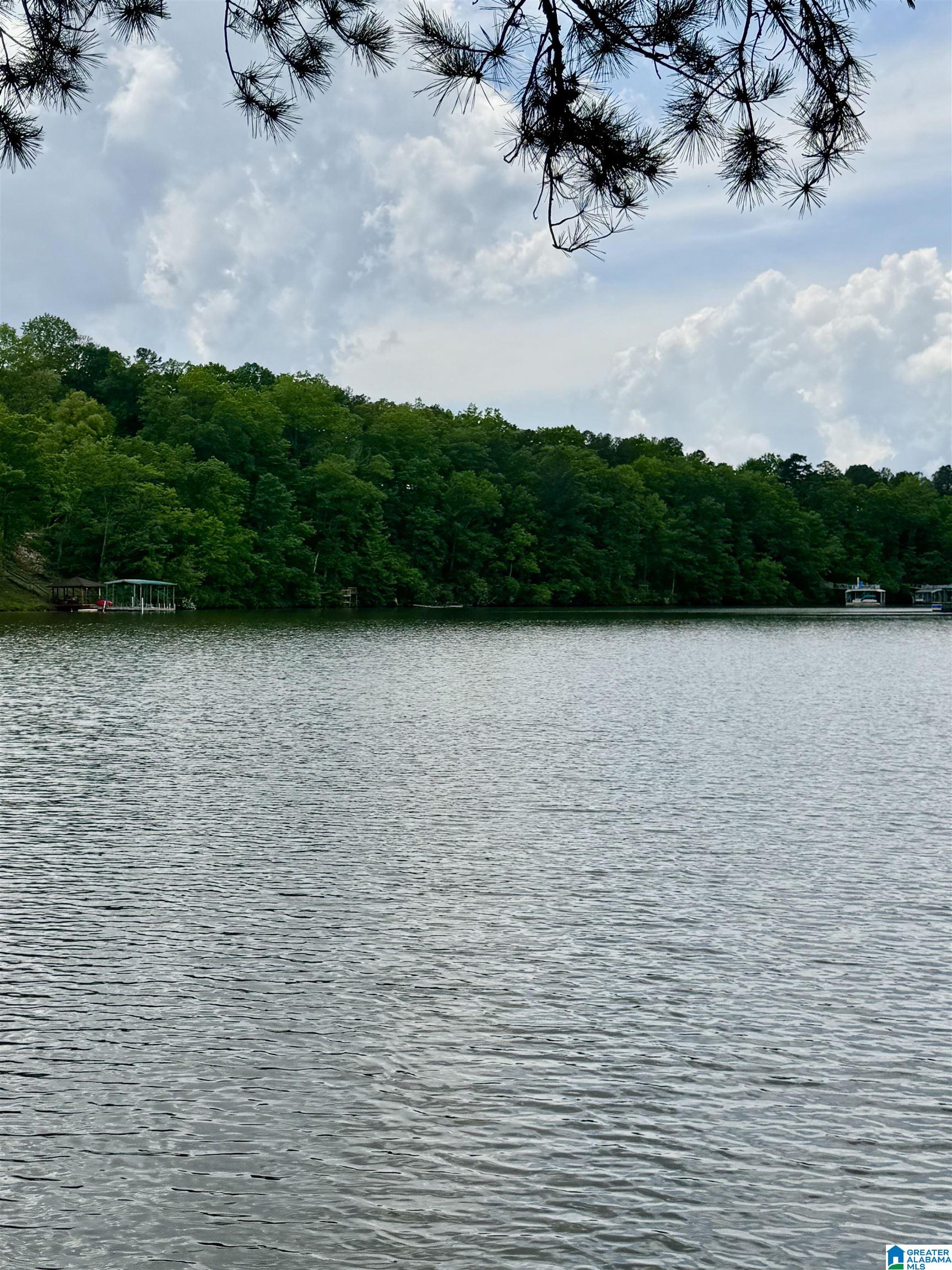 Lot 2 OLD HIGHWAY 431