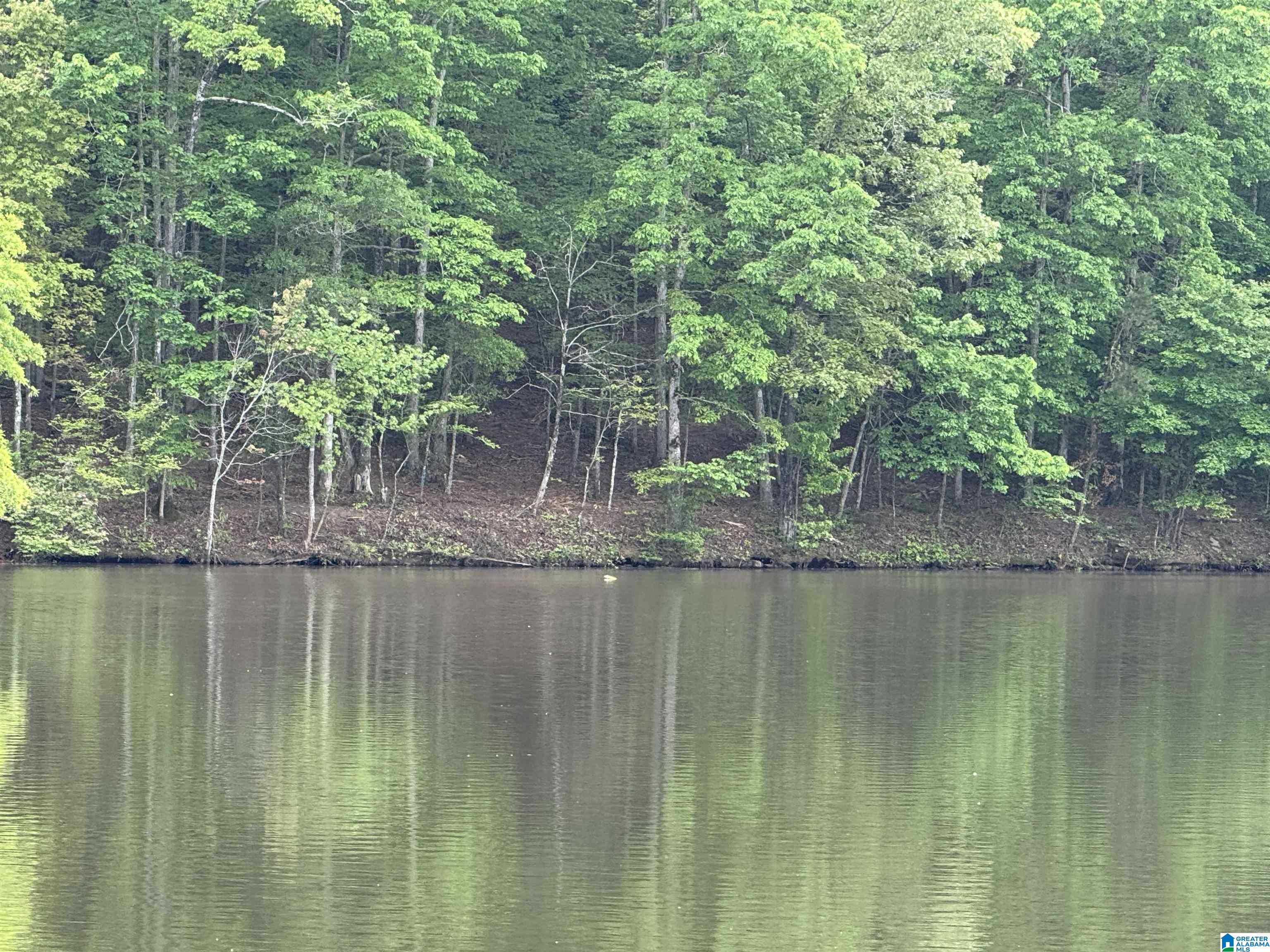 Lot 1 OLD HIGHWAY 431
