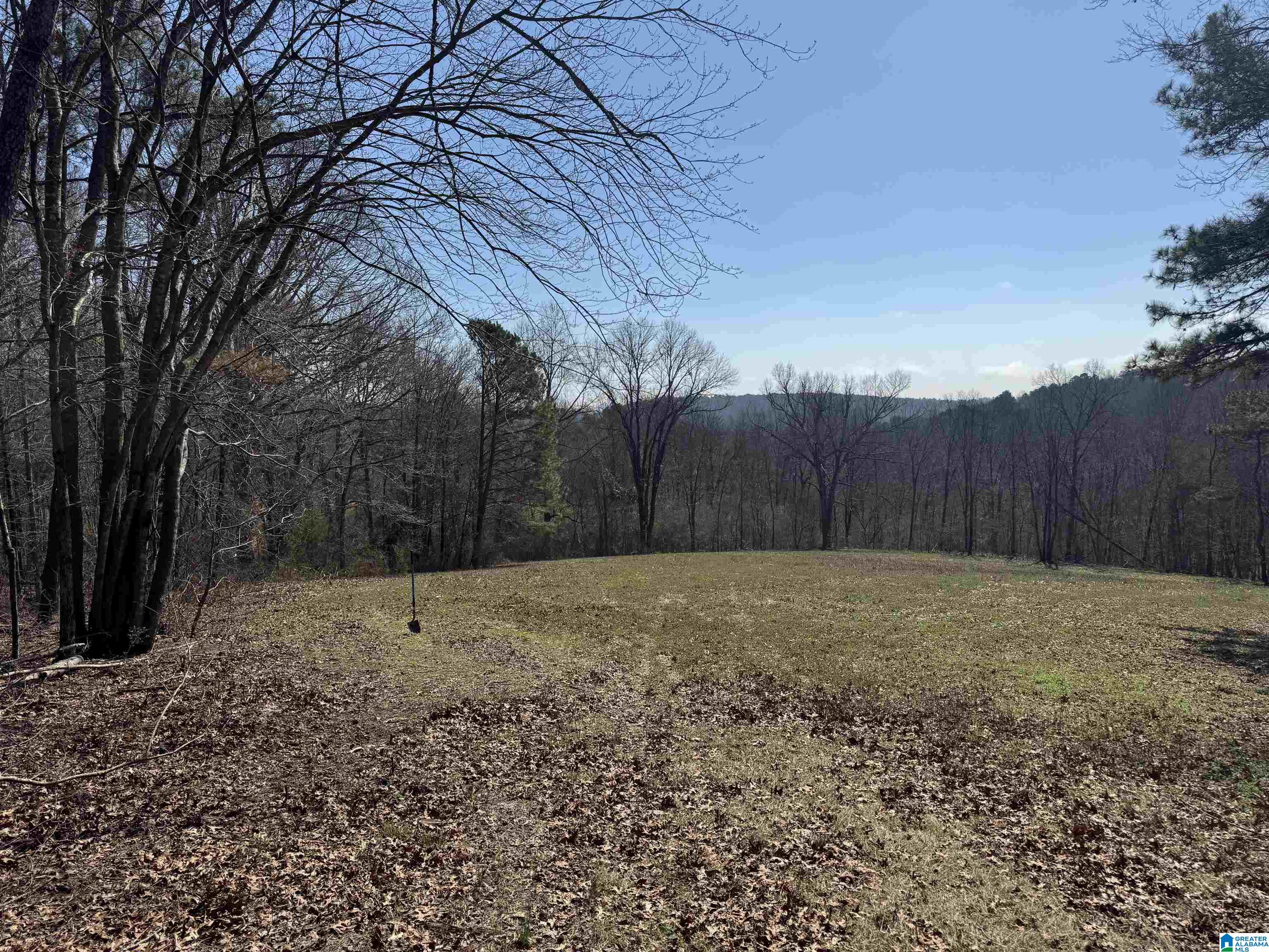 Homes for sale in Ft Payne, AL | 0 County Road 57, Ft Payne, AL 35967 | MLS# 21448227
